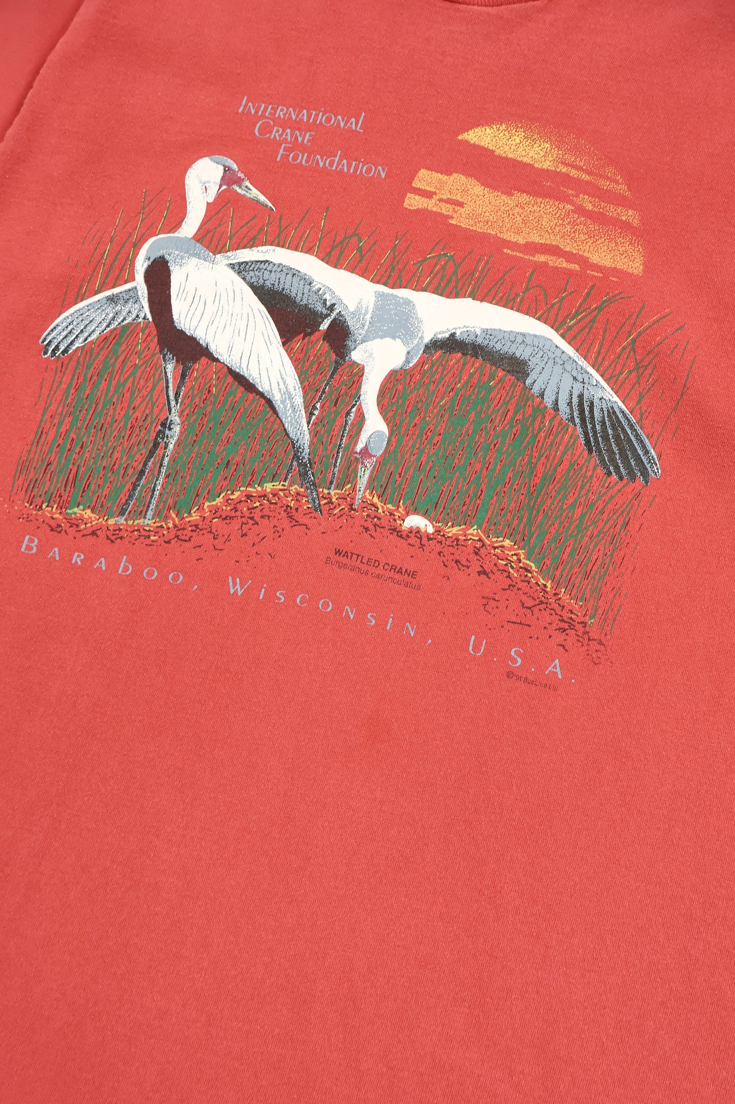 Vintage Crane Tee Image 3