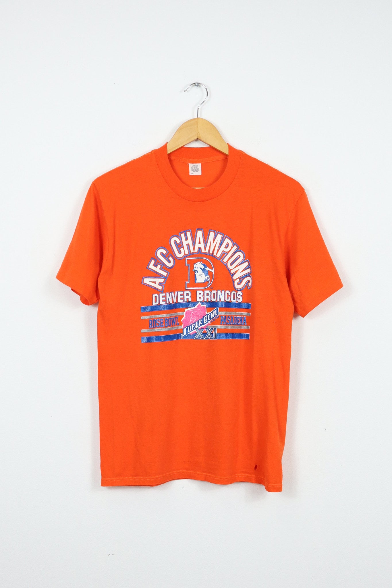 Vintage Denver Broncos AFC Champions