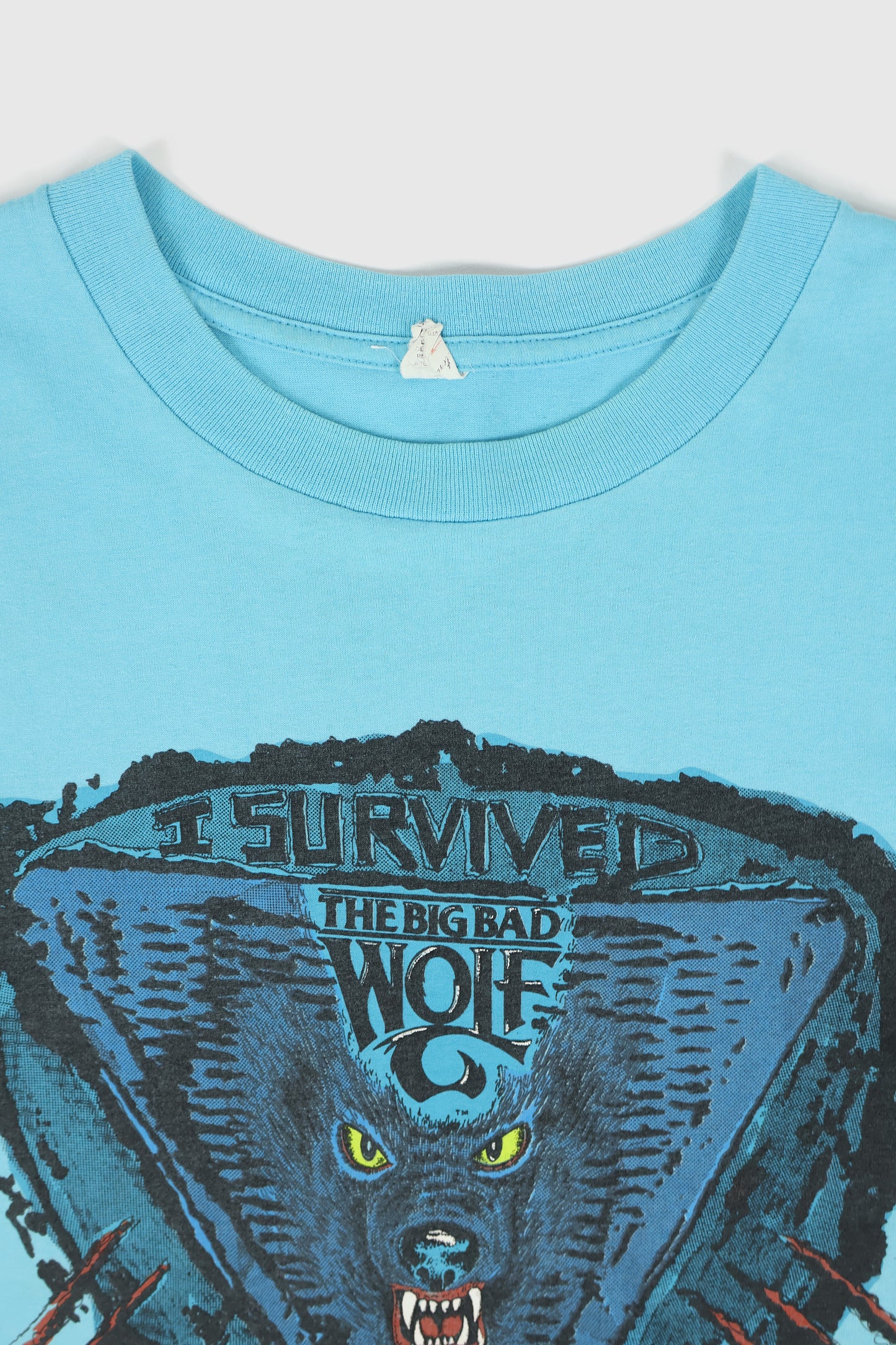 Vintage Busch Gardens Tee