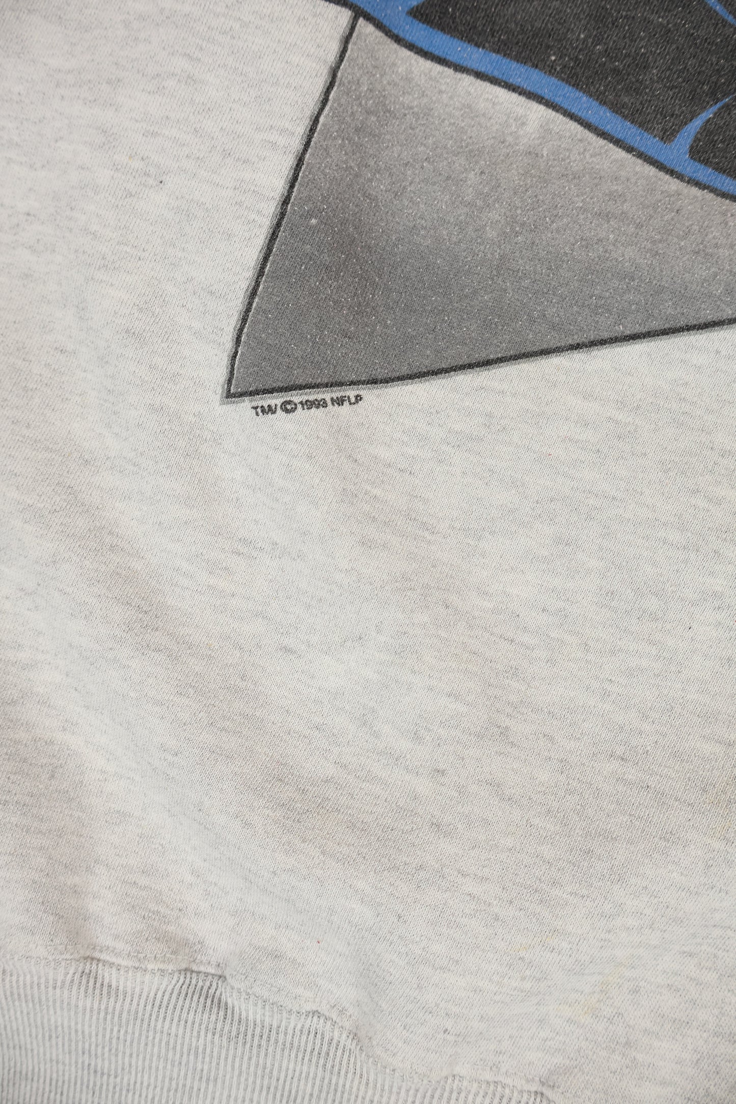 Vintage Carolina Panthers Crewneck Image 4