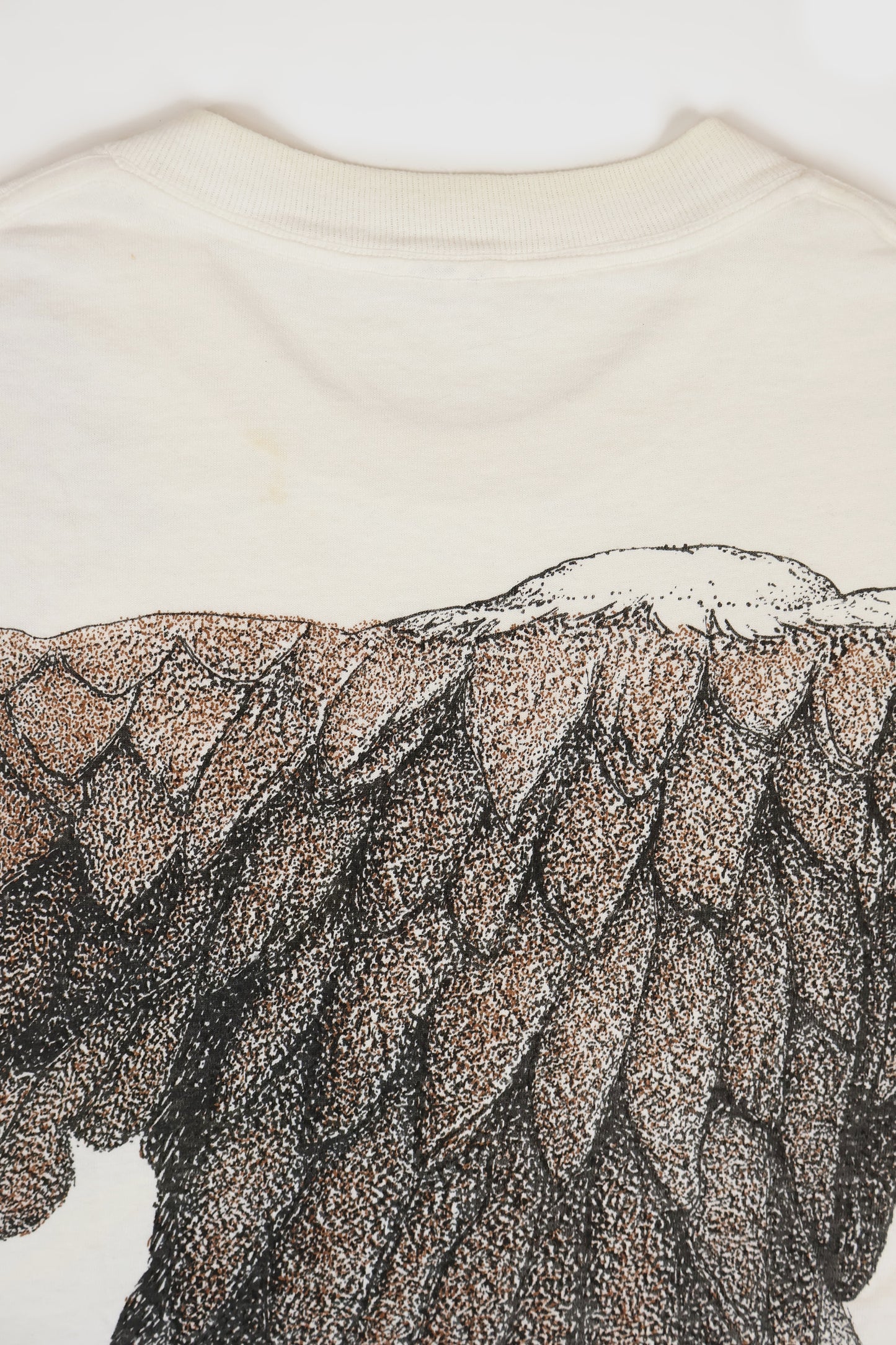 Vintage Eagle Tee