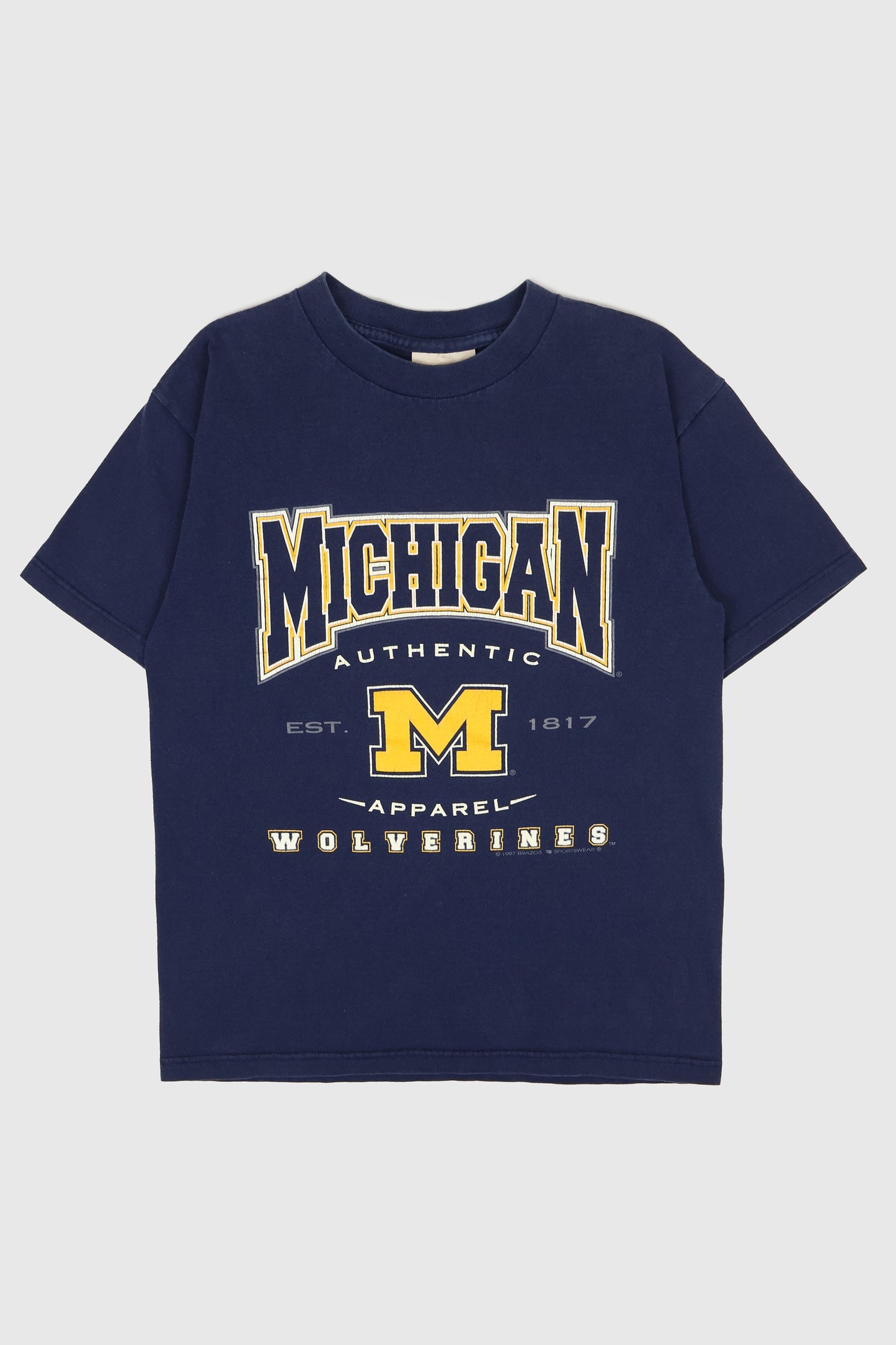 Vintage Michigan Wolverines Tee Image 0