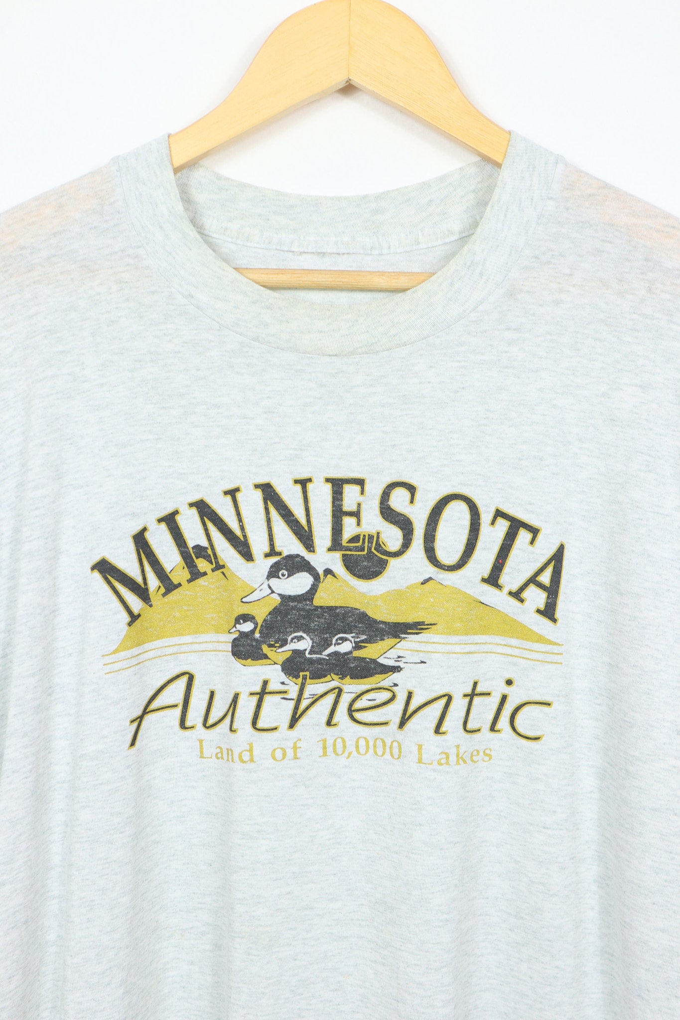 Vintage Minnesota Tee