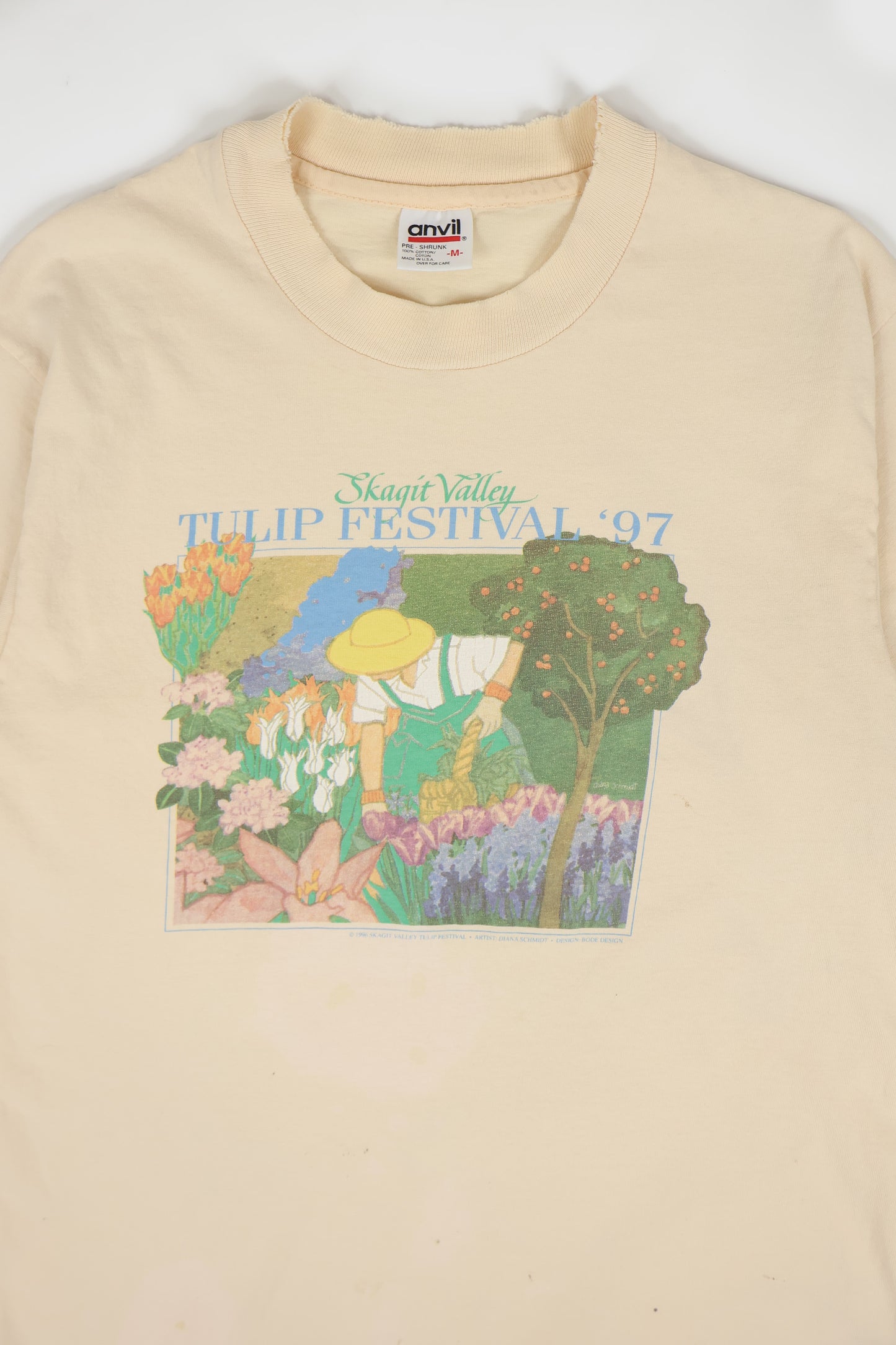 Vintage Distressed 1997 Tulip Festival Tee Image 1
