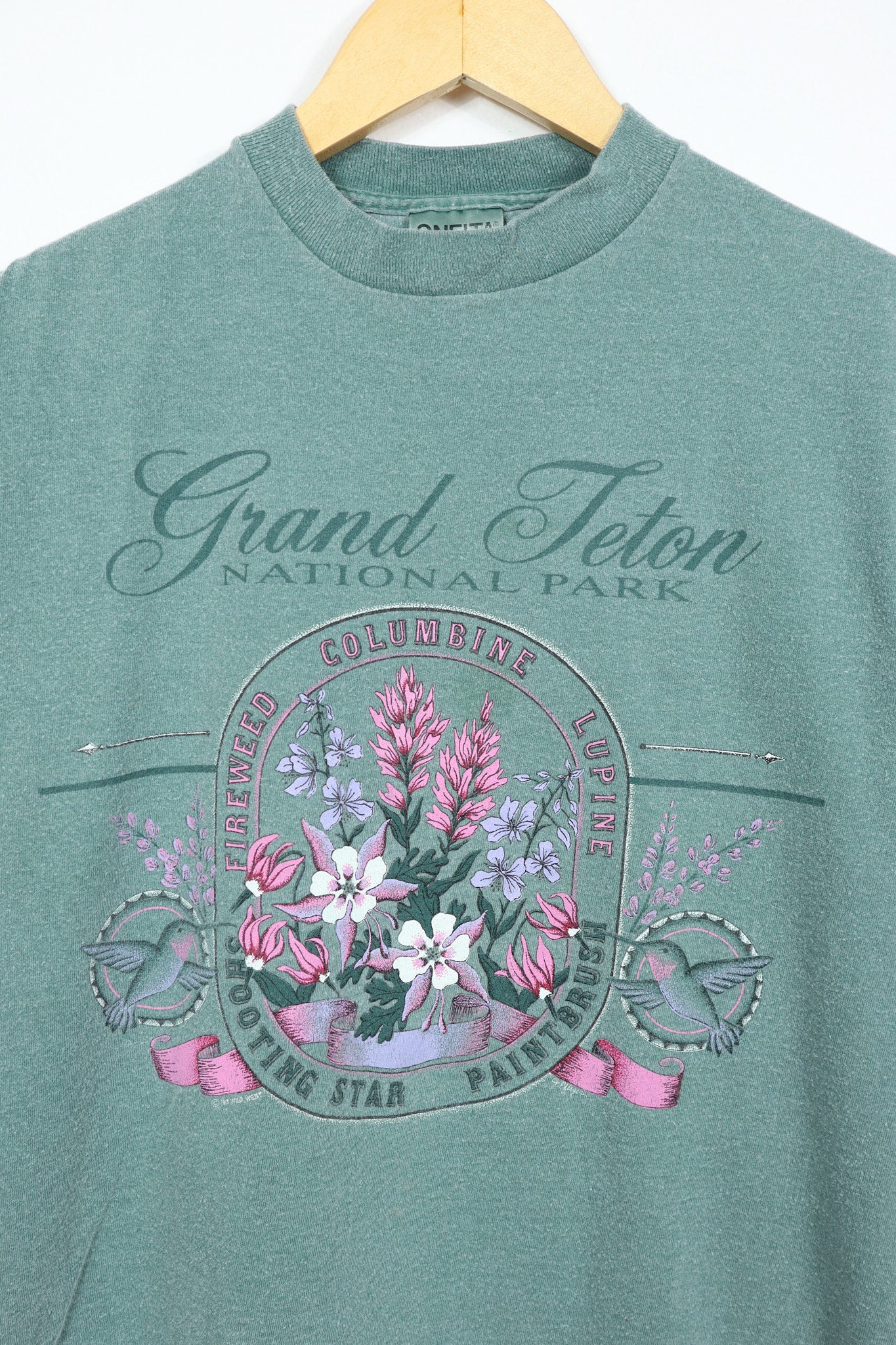 Vintage Faded Grand Teton Nation Park Tee