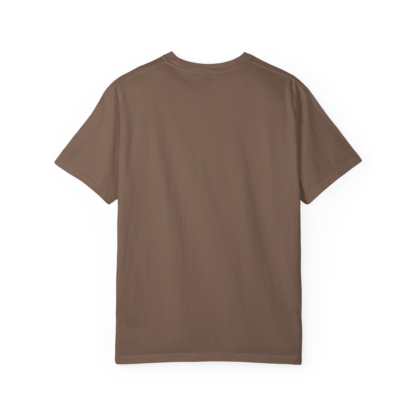 Retro Birds Football Tee