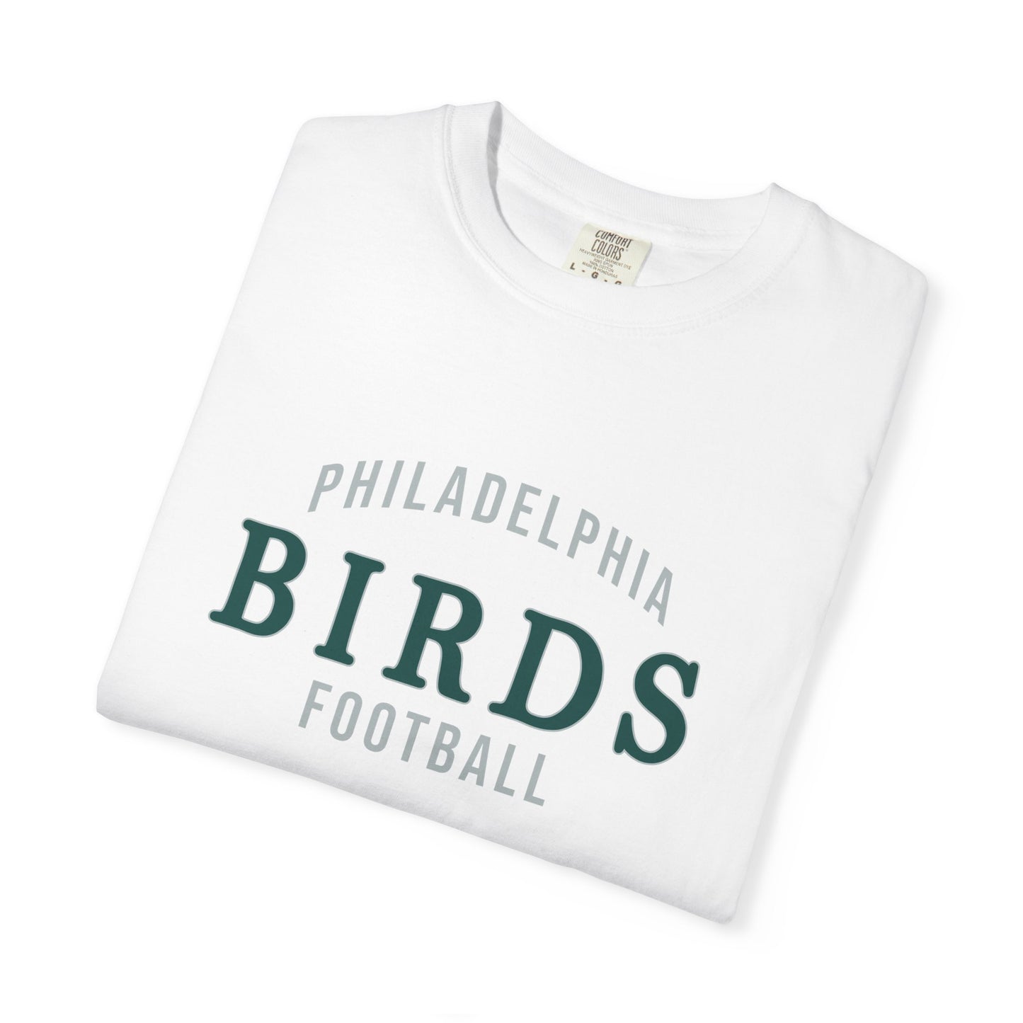 Classic Philadelphia Football Graphic Tee