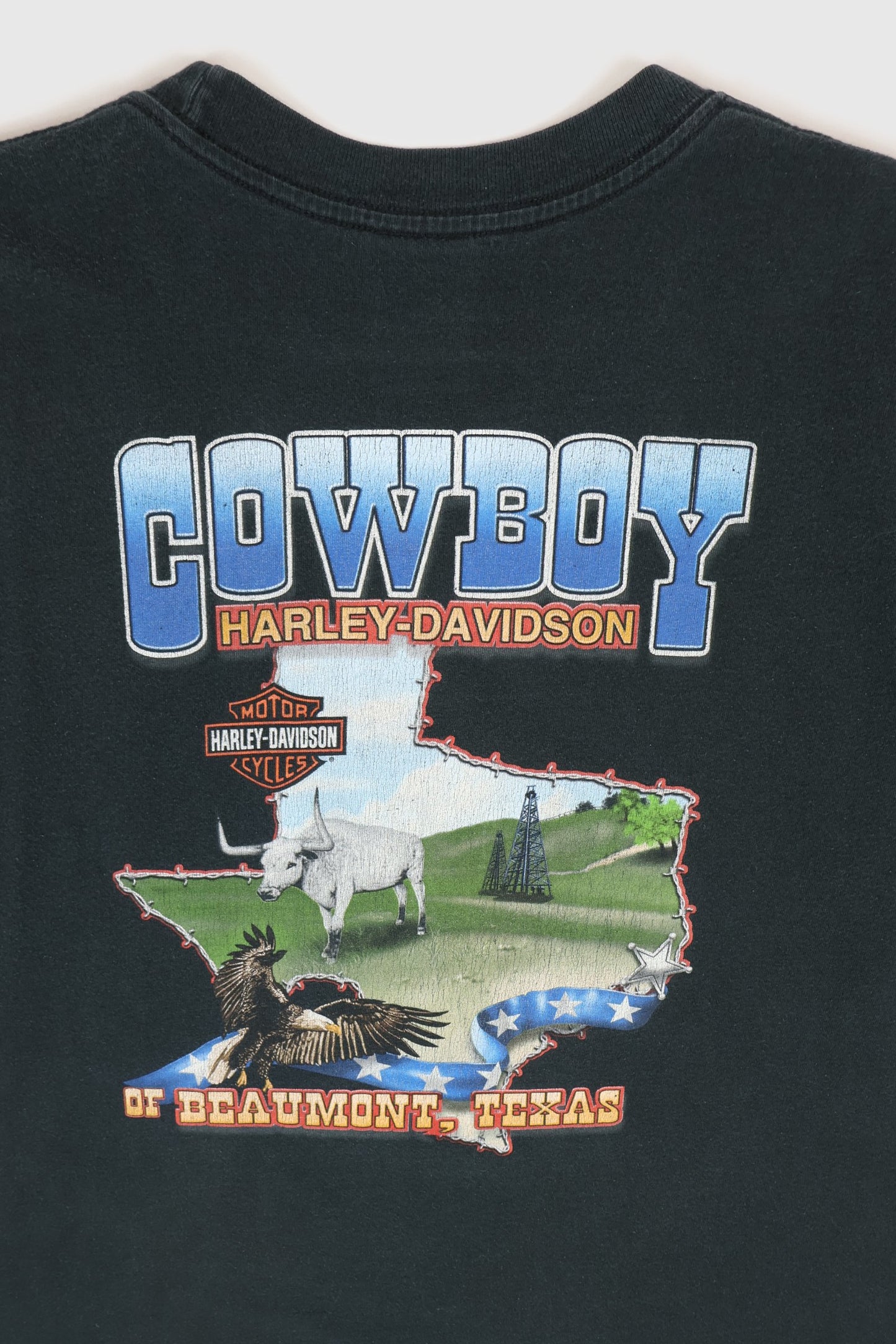 Vintage Y2K Harley-Davidson Cattle Skull Texas Tee Image 5