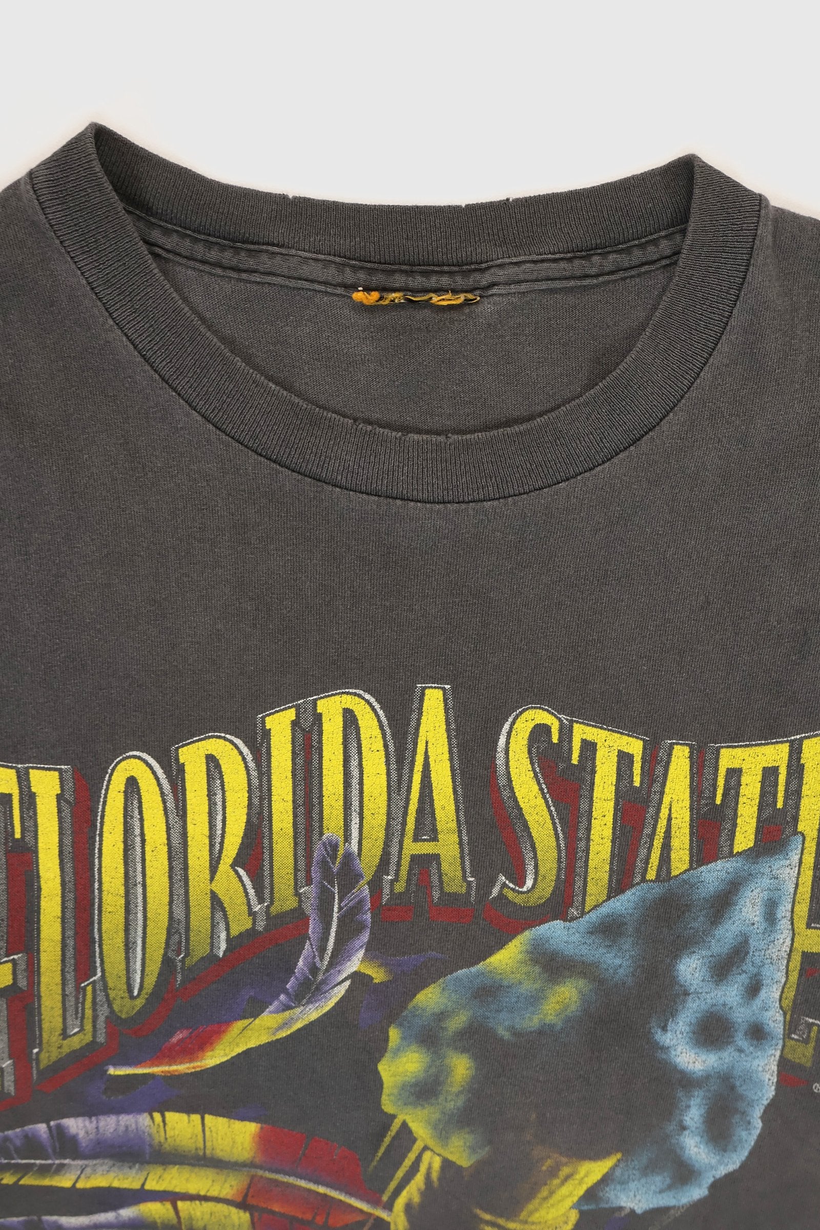 Vintage Florida State Seminoles Tee Image 3