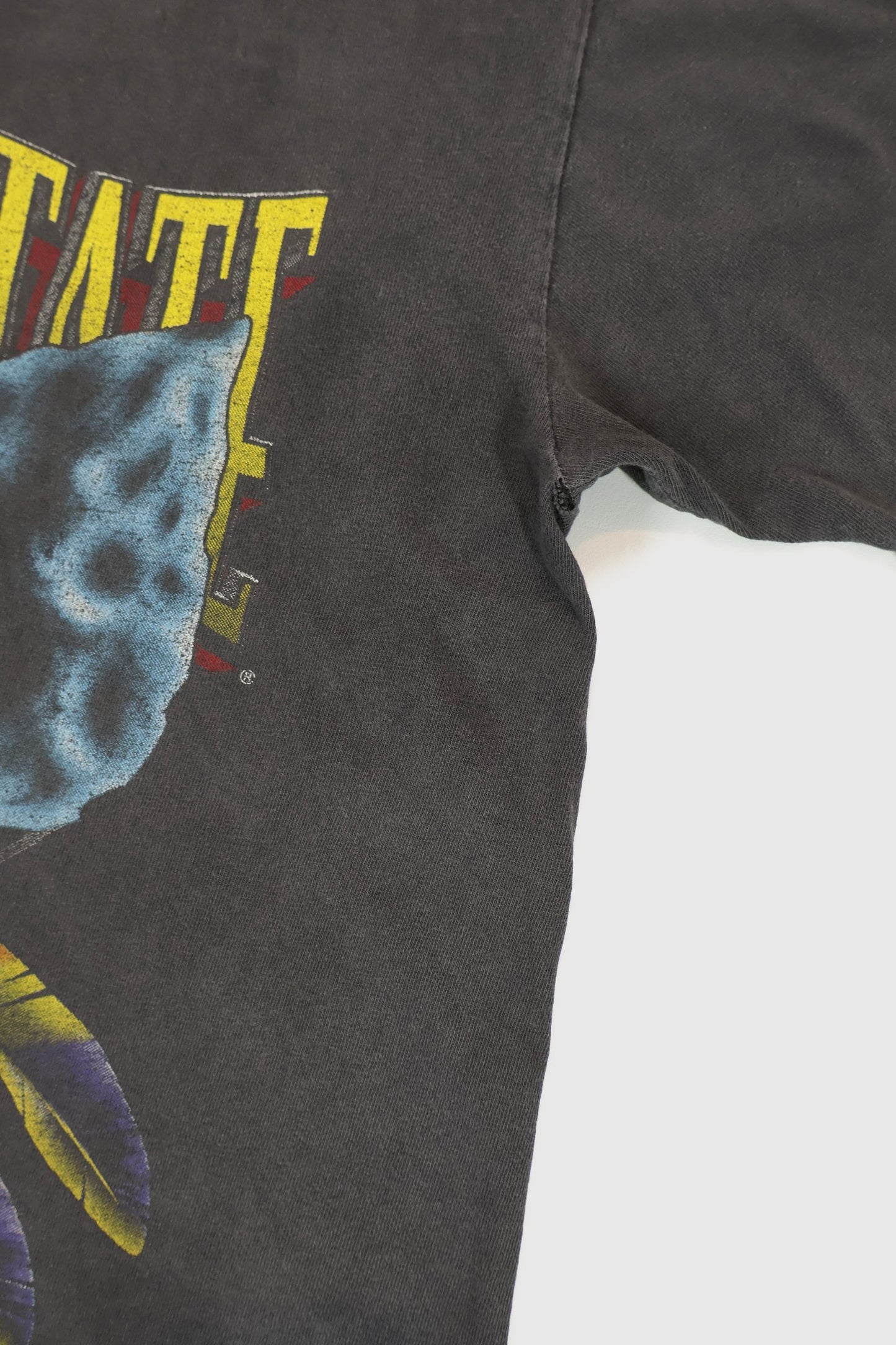 Vintage Florida State Seminoles Tee Image 5