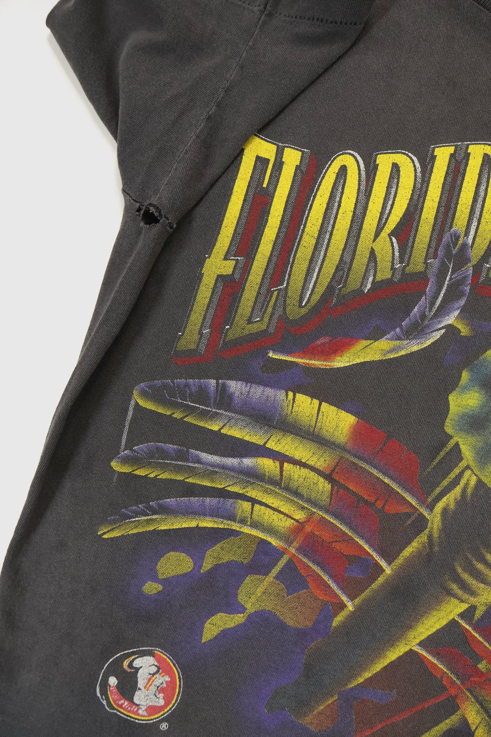 Vintage Florida State Seminoles Tee Image 6