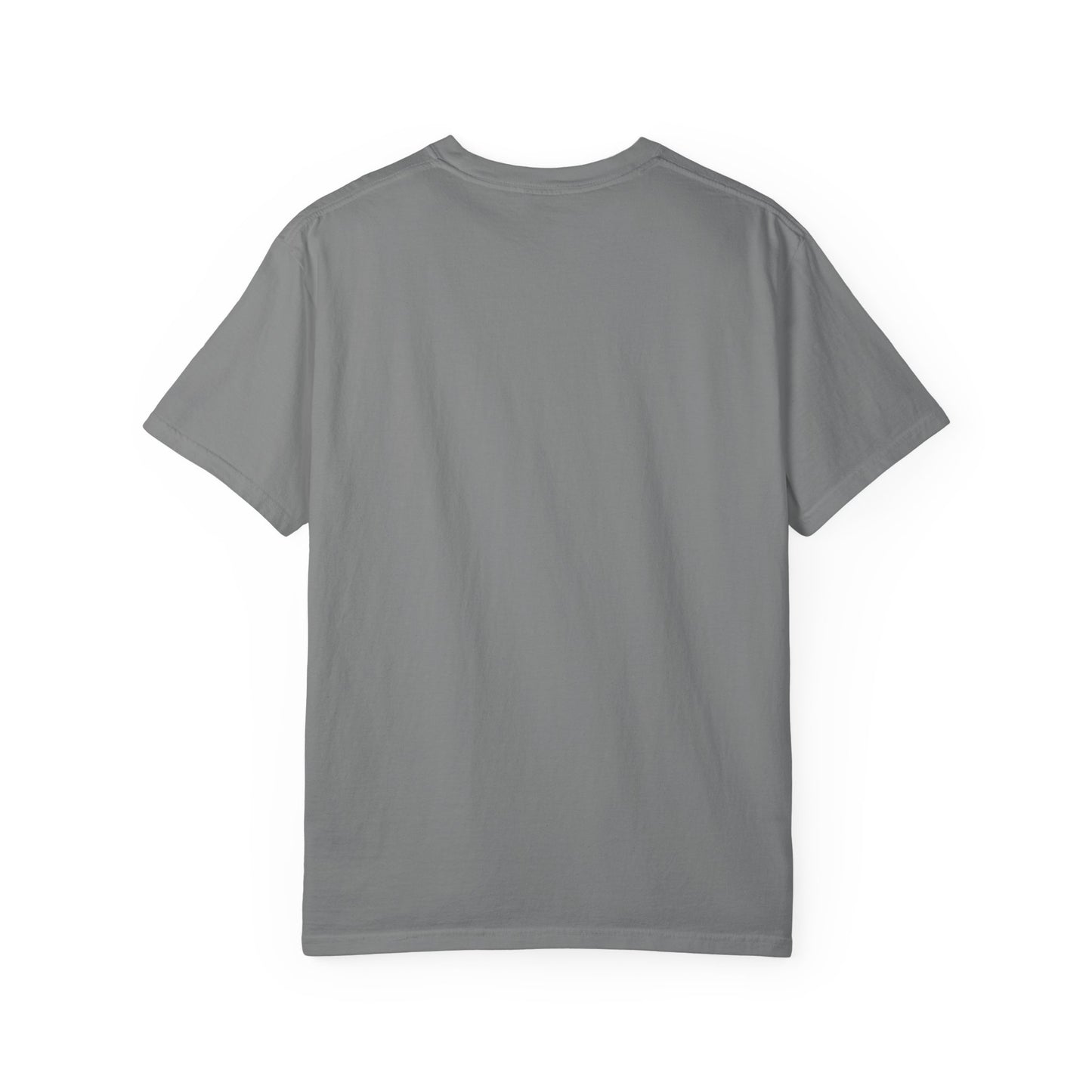 Birds Football Helmet Graphic T-Shirt