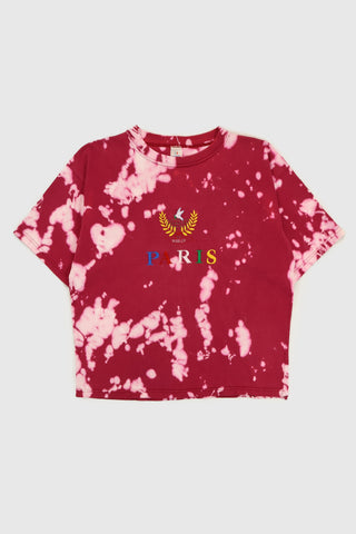 Vintage Paris Tee