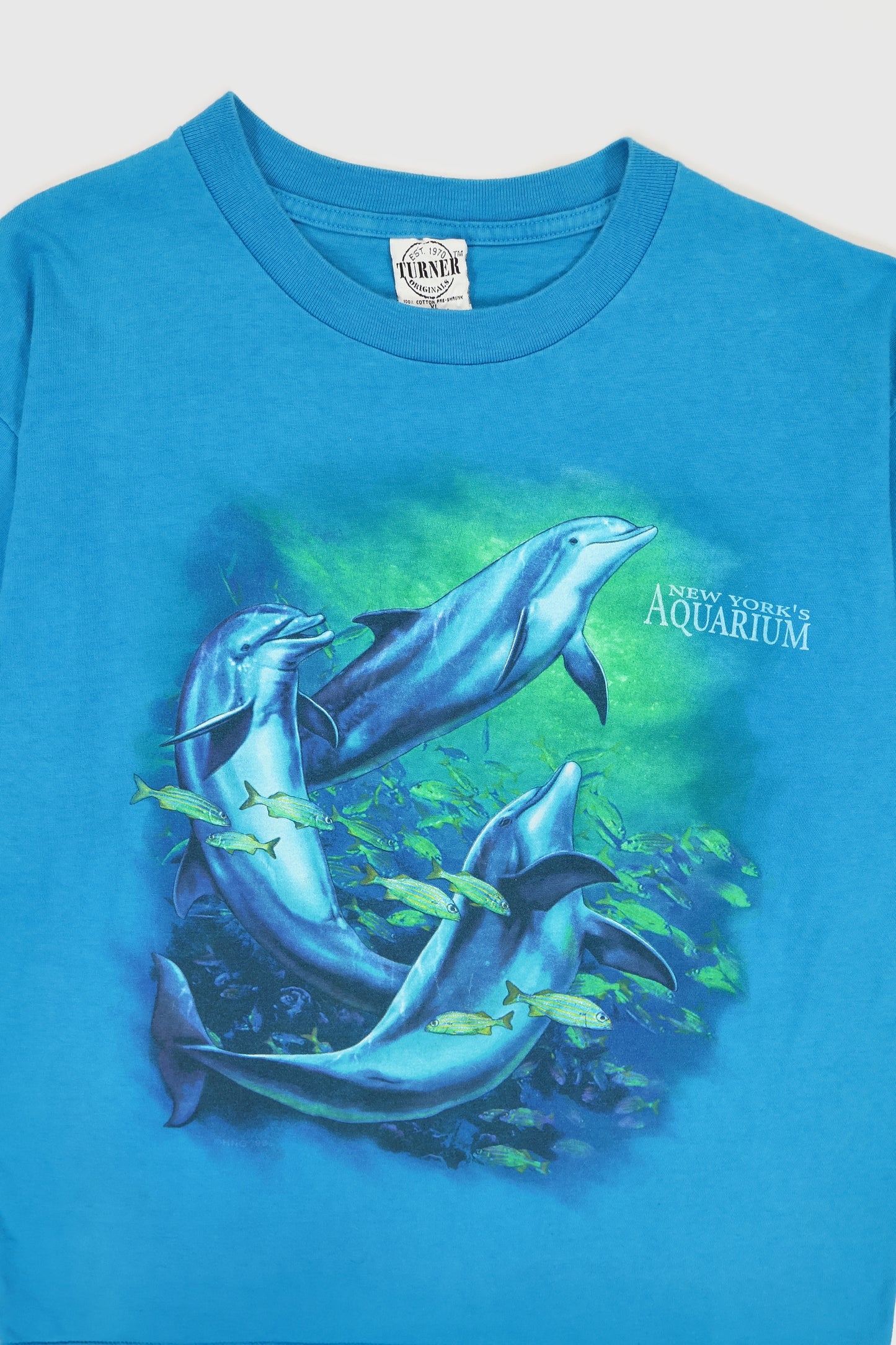 Vintage Dolphin Tee Image 1