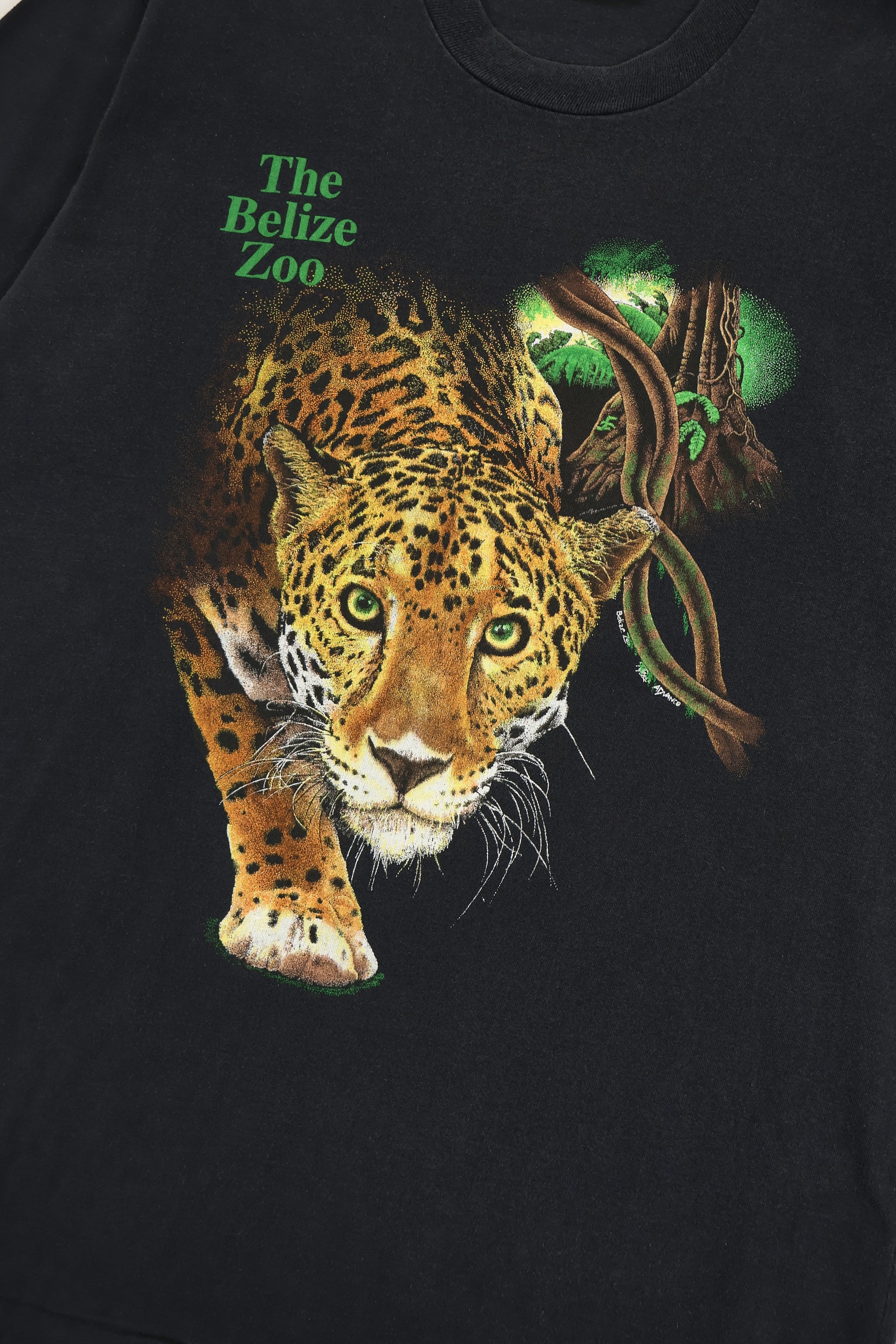 Vintage The Belize Zoo Jaguar Tee Image 3