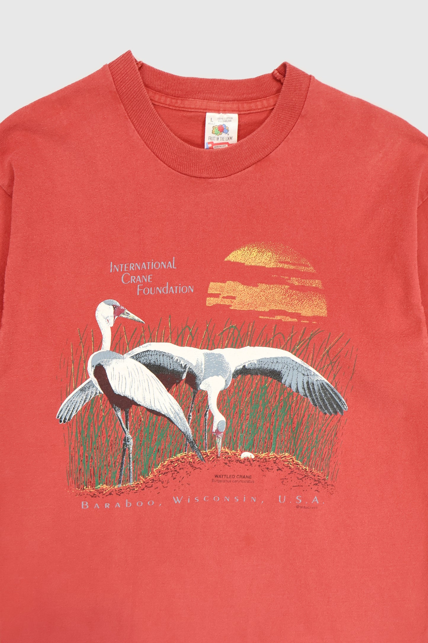 Vintage Crane Tee Image 1