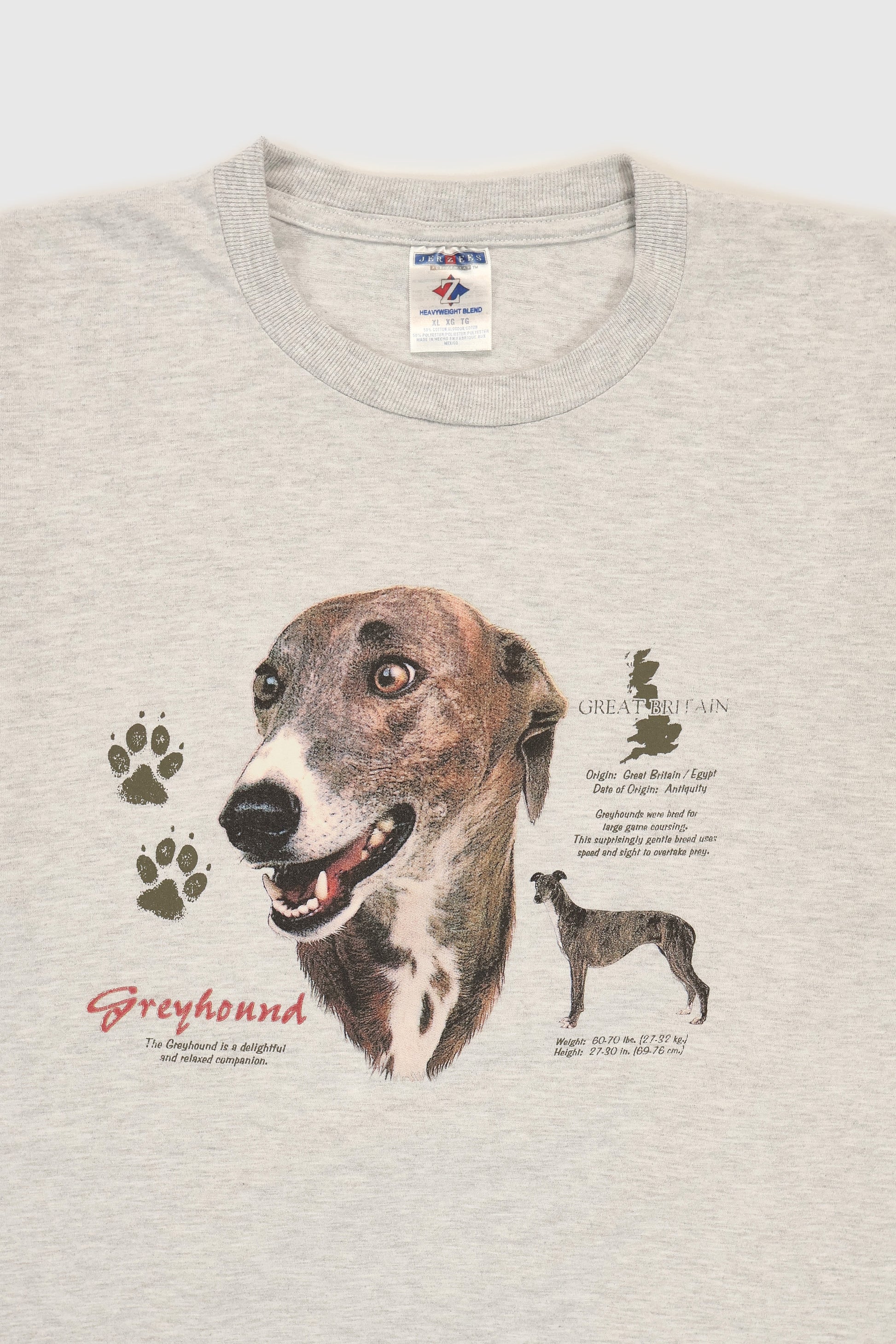 Vintage Greyhound Tee Image 1
