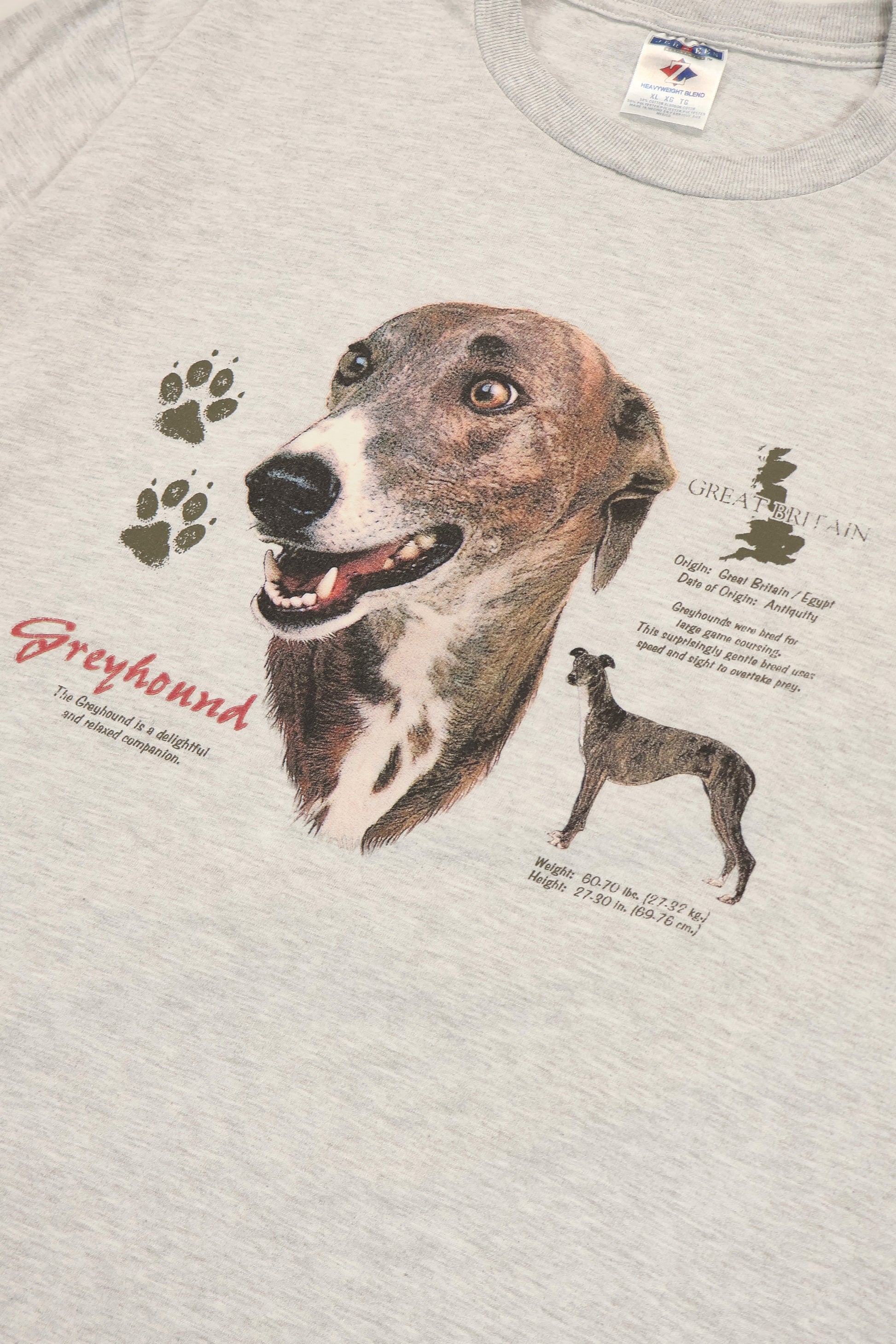 Vintage Greyhound Tee Image 3