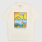 Vintage Dolphins A Delicate Balance Tee Image 0