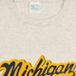 Vintage Michigan Wolverines Tee Image 3