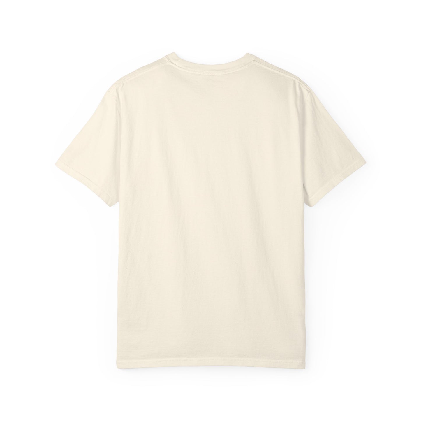 Birds Football Retro Wave Sports Tee