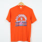 Vintage Denver Broncos AFC Champions