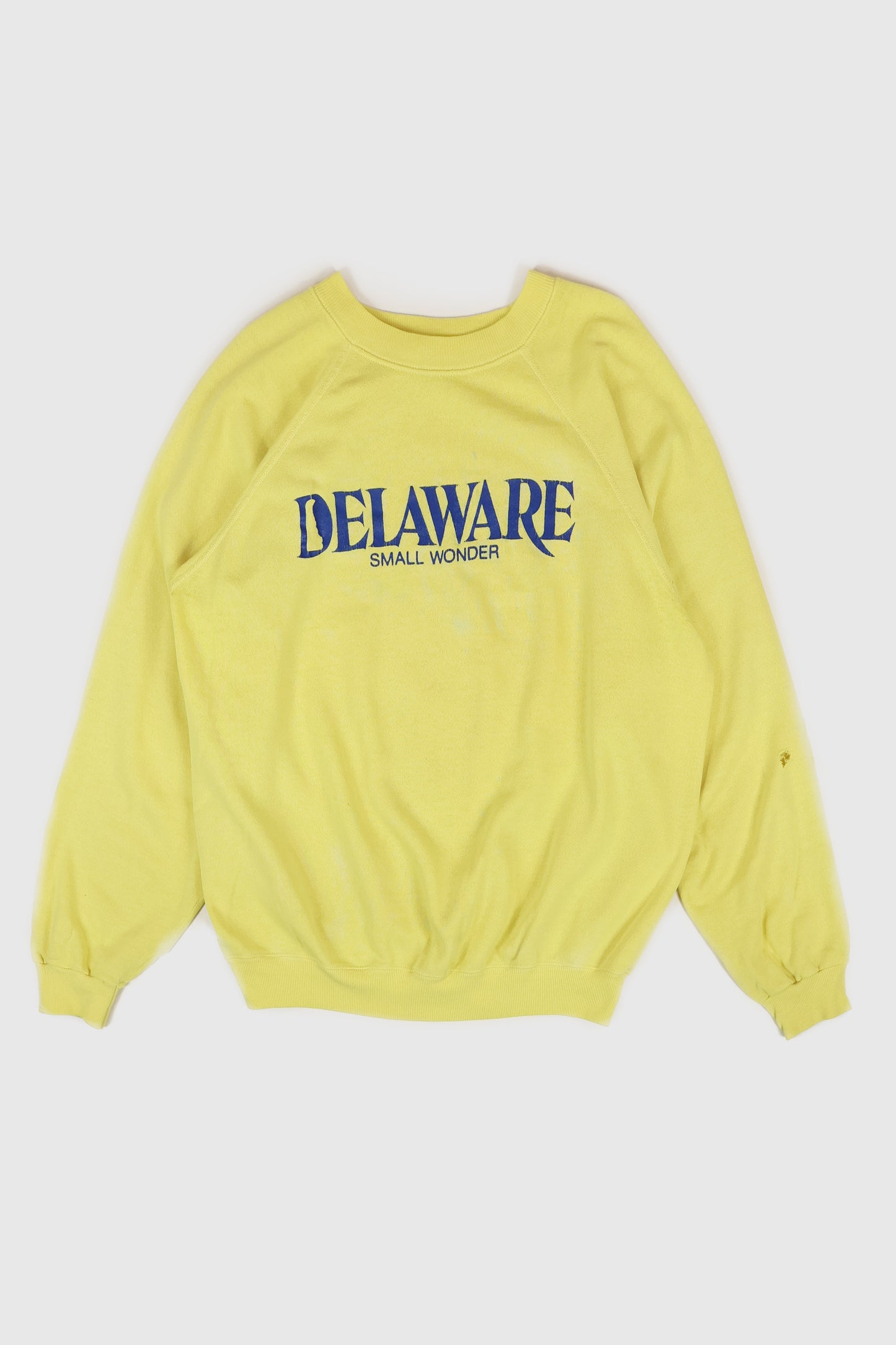 Vintage Delaware Small Wonder Crewneck Image 0