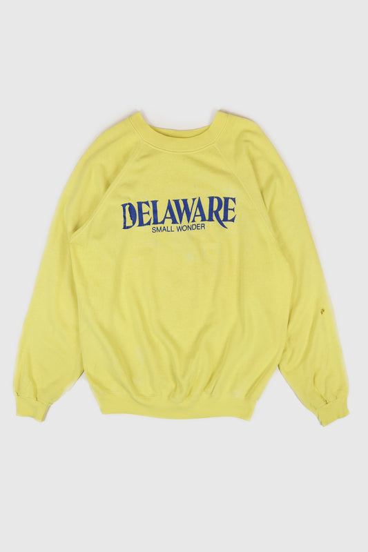 Vintage Delaware Small Wonder Crewneck Image 0