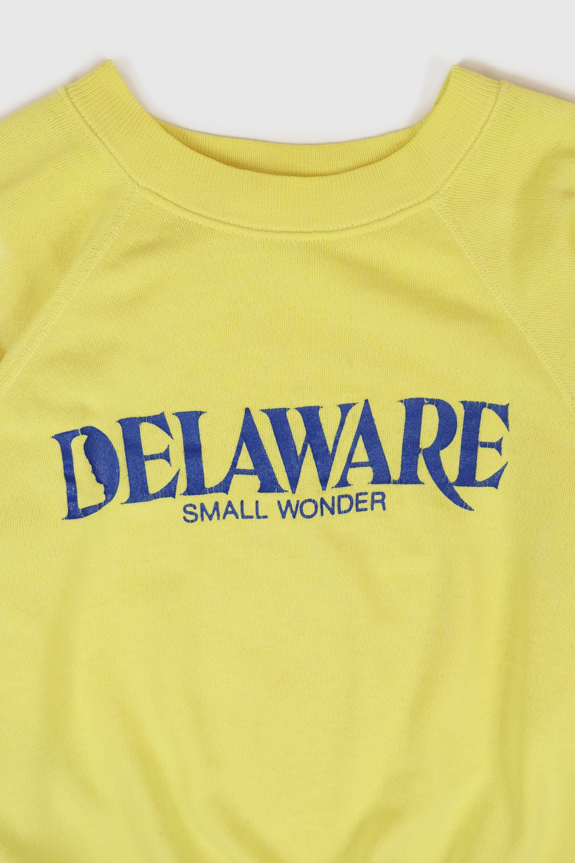 Vintage Delaware Small Wonder Crewneck Image 1