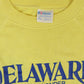 Vintage Delaware Small Wonder Crewneck Image 2