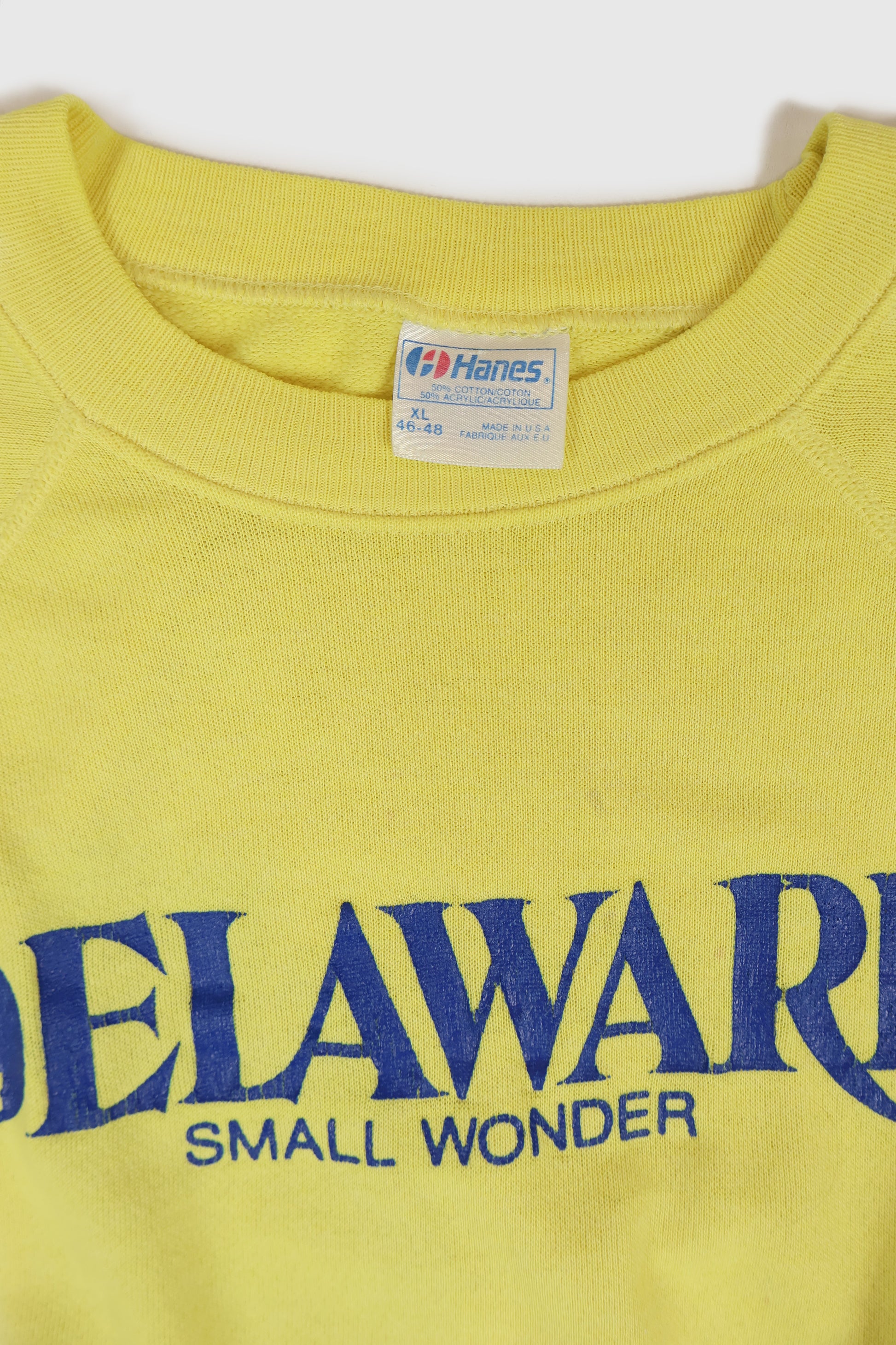 Vintage Delaware Small Wonder Crewneck Image 2