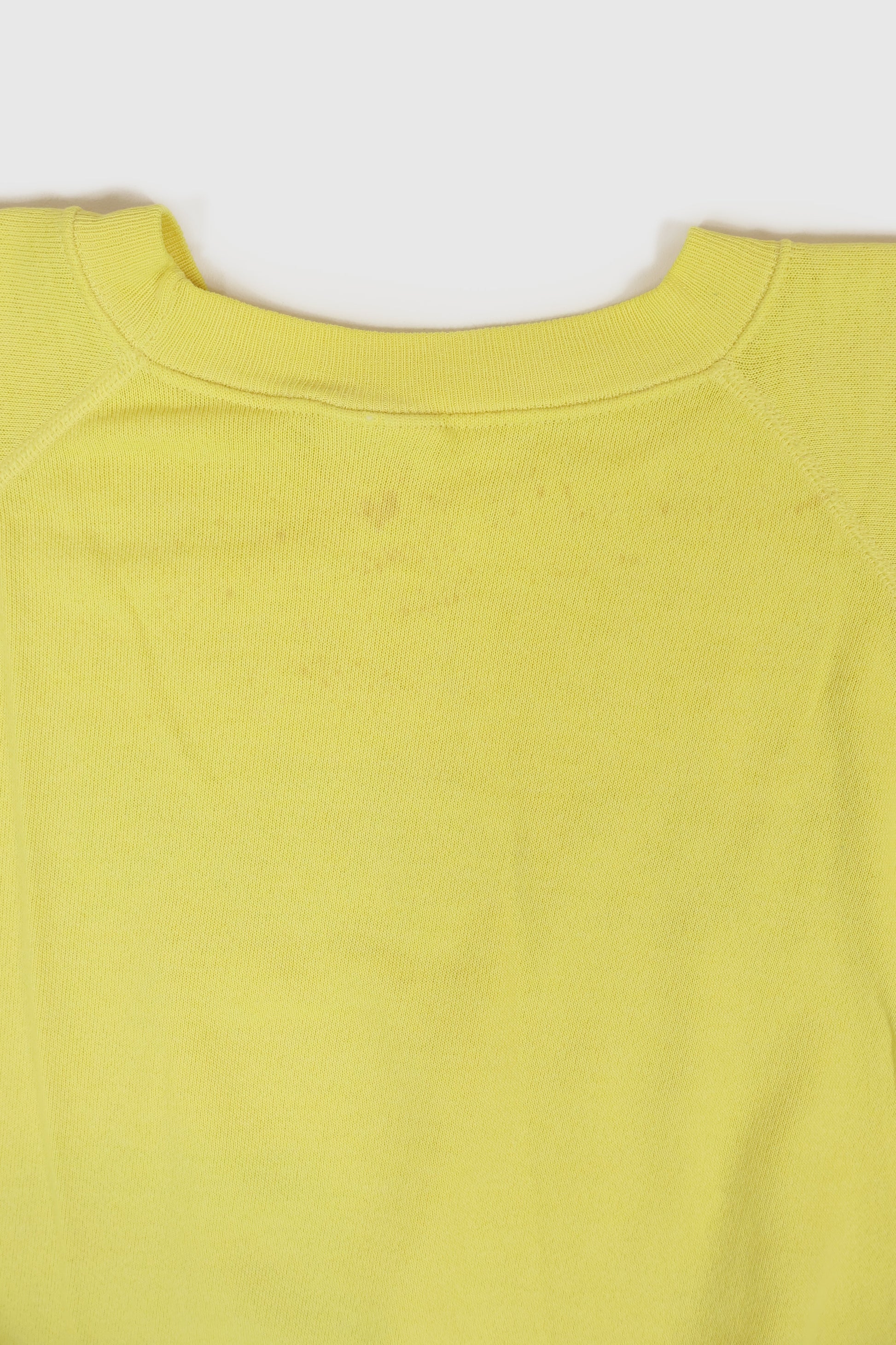 Vintage Delaware Small Wonder Crewneck Image 4