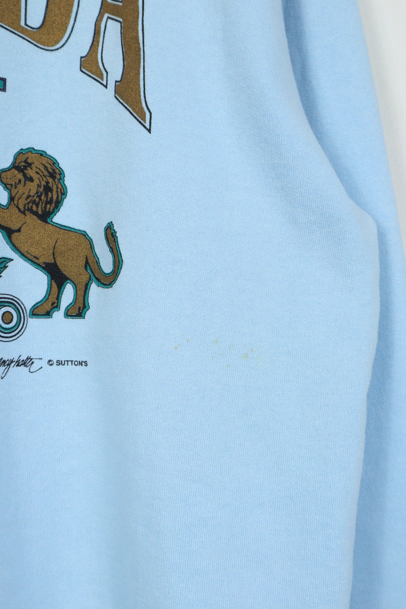 Vintage Florida Crewneck