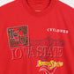 Vintage Iowa State Cyclones Tee