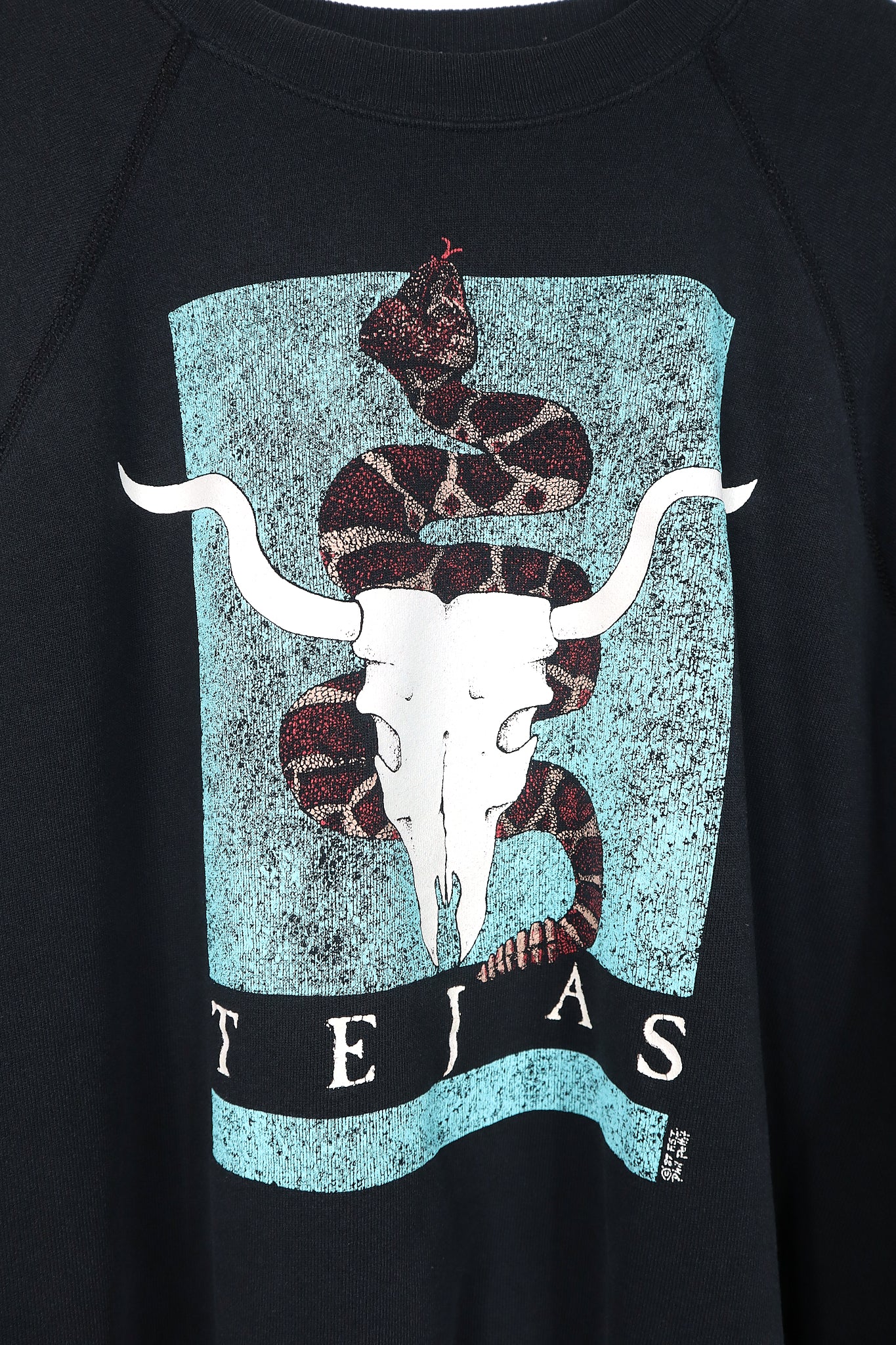 Vintage Tejas Crewneck