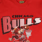 Vintage Chicago Bulls Tee Image 1