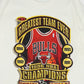 Vintage Chicago Bulls 1996 NBA Champions Tee