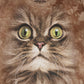 Vintage Cat Tee