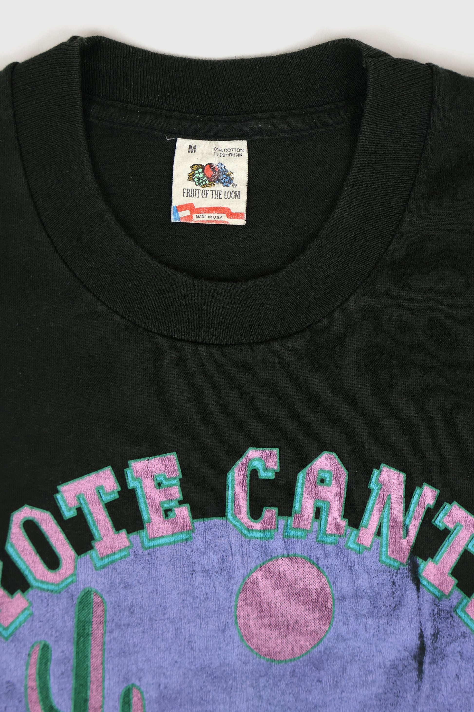 Vintage Coyote Taos Tee Image 2