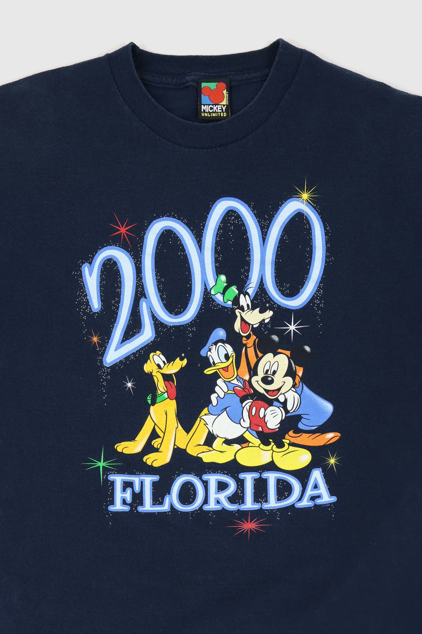 Vintage 2000 Disney Florida Tee