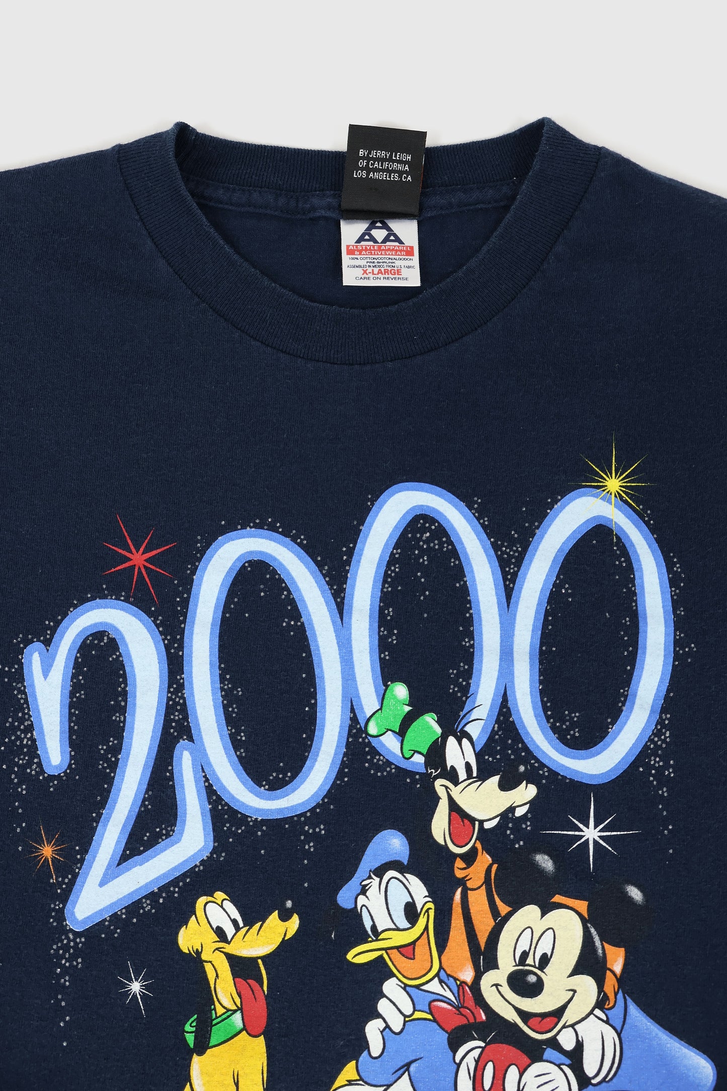 Vintage 2000 Disney Florida Tee