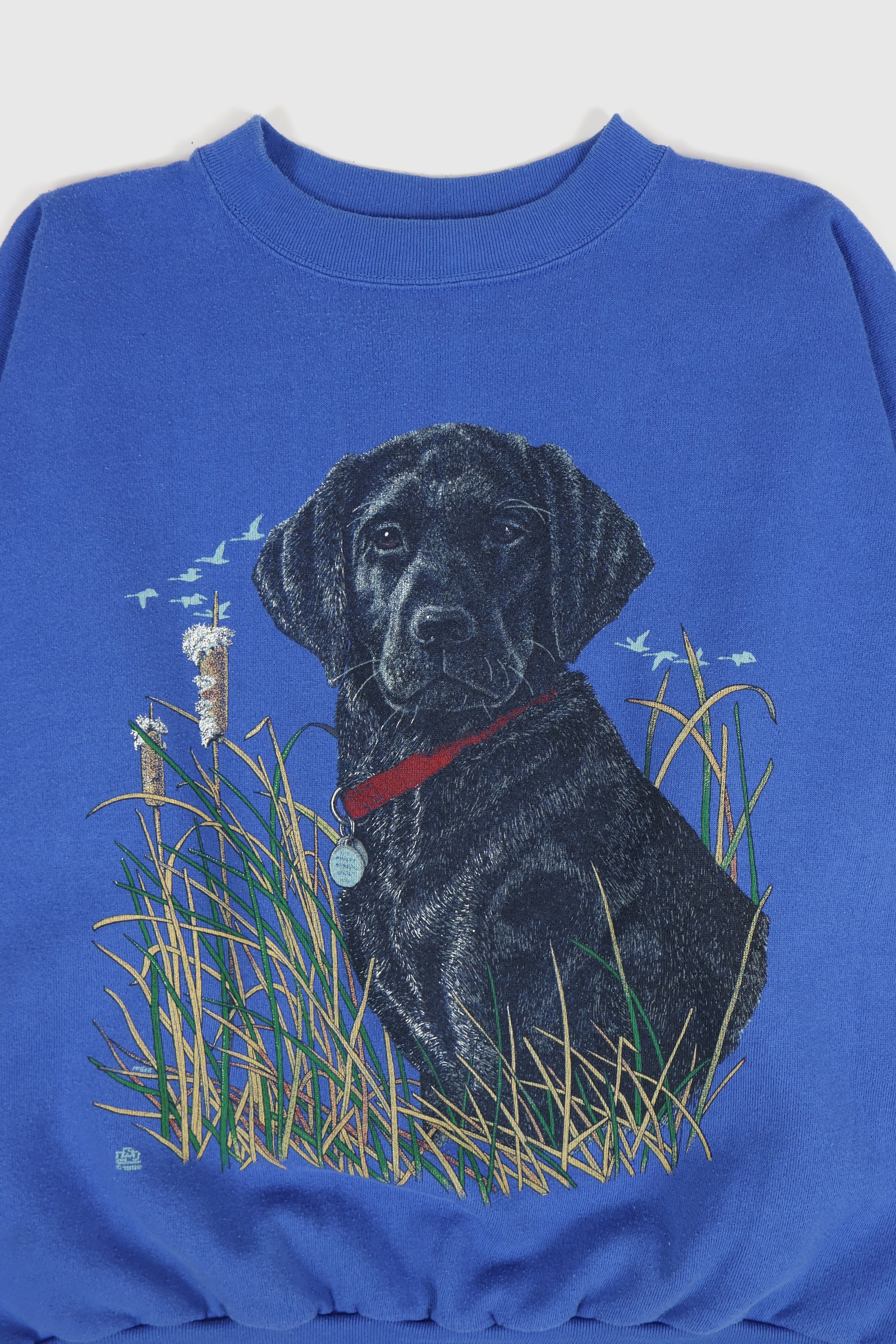 Vintage Dog Crewneck Image 1