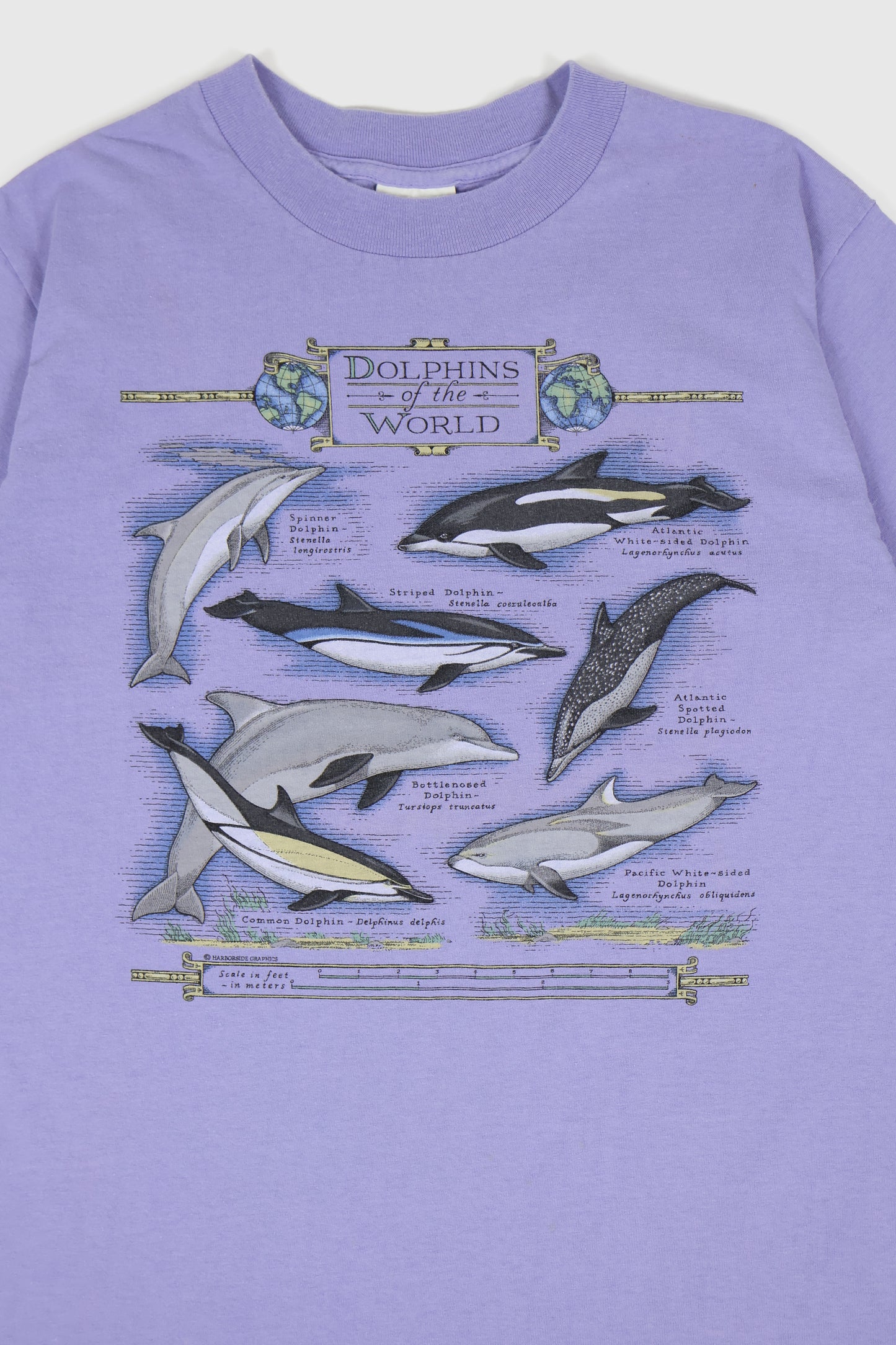 Vintage Dolphins of the World Tee