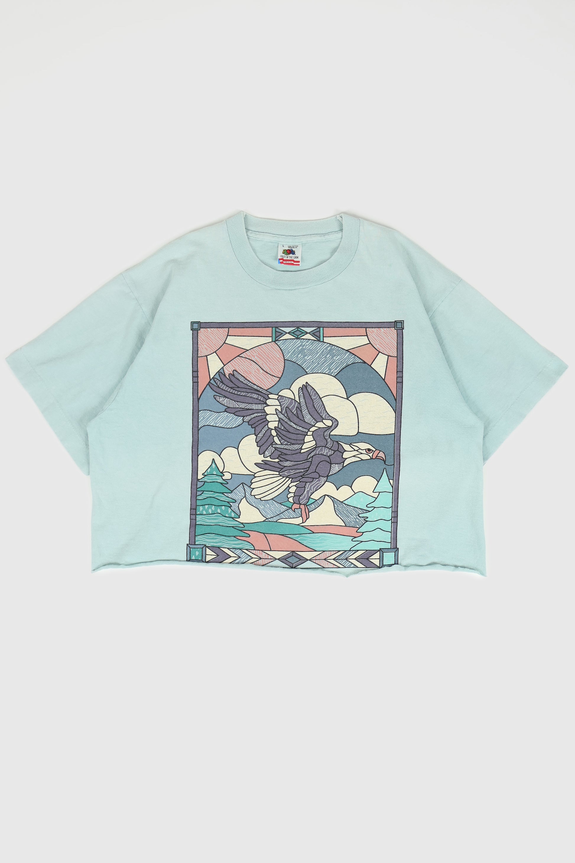 Vintage Cropped Eagle Tee Image 0