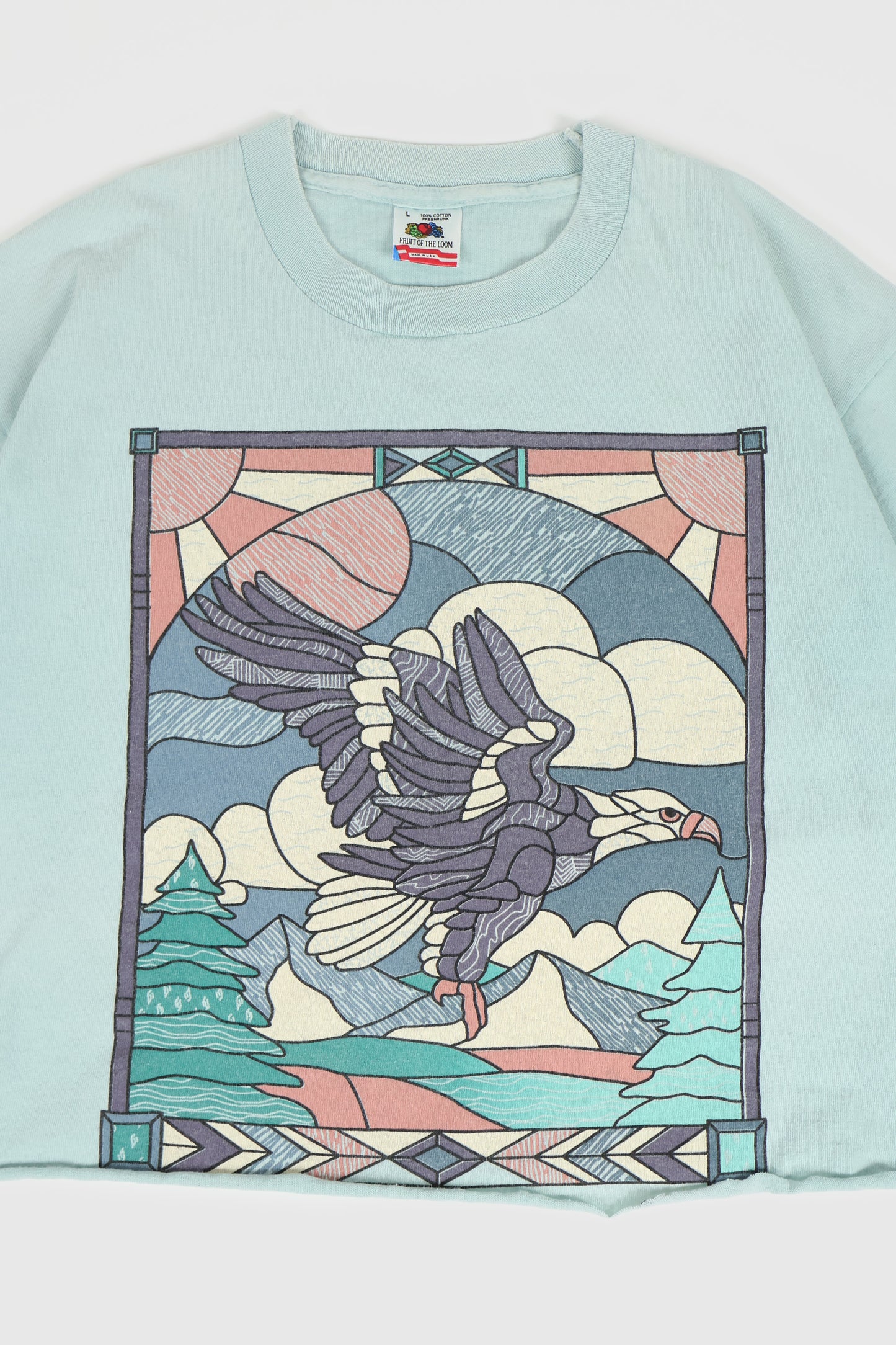 Vintage Cropped Eagle Tee Image 1