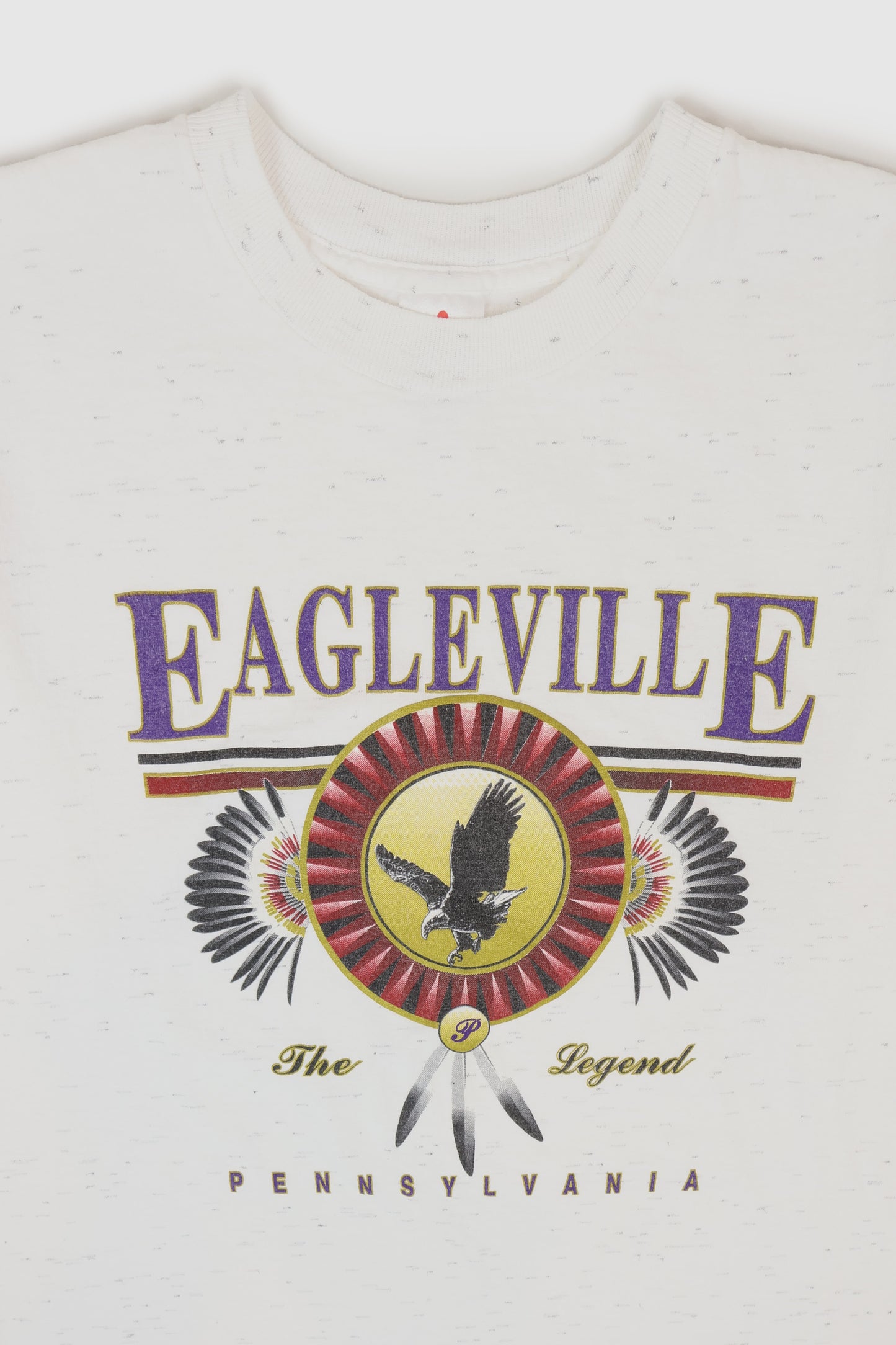 Vintage Eagleville Tee Image 1