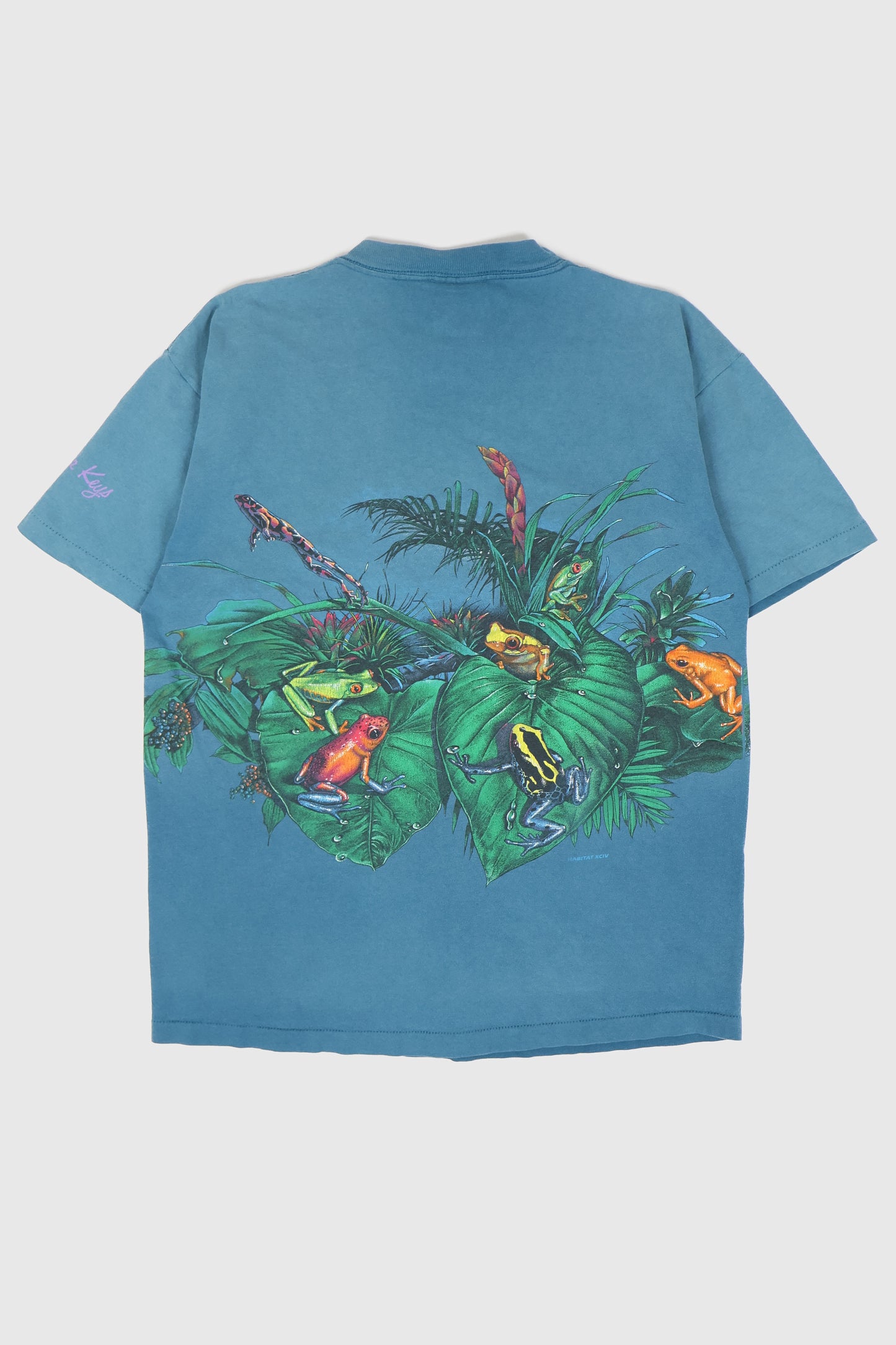 Vintage Frog Tee Image 1