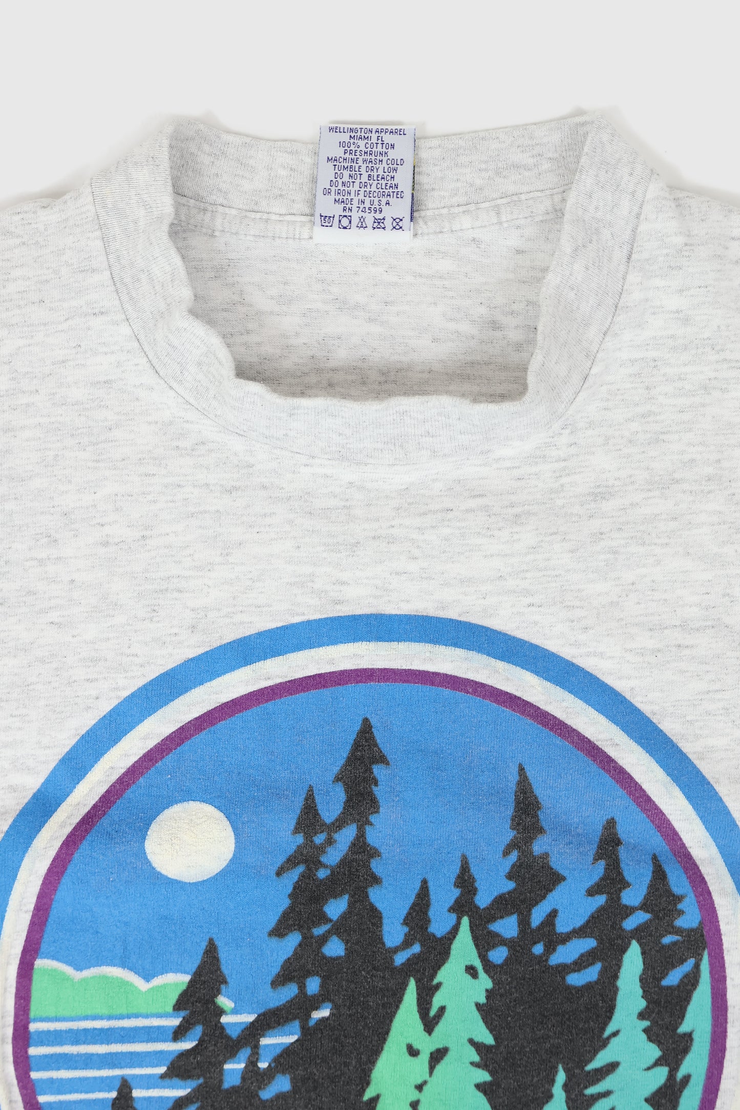 Vintage Lake George Tee