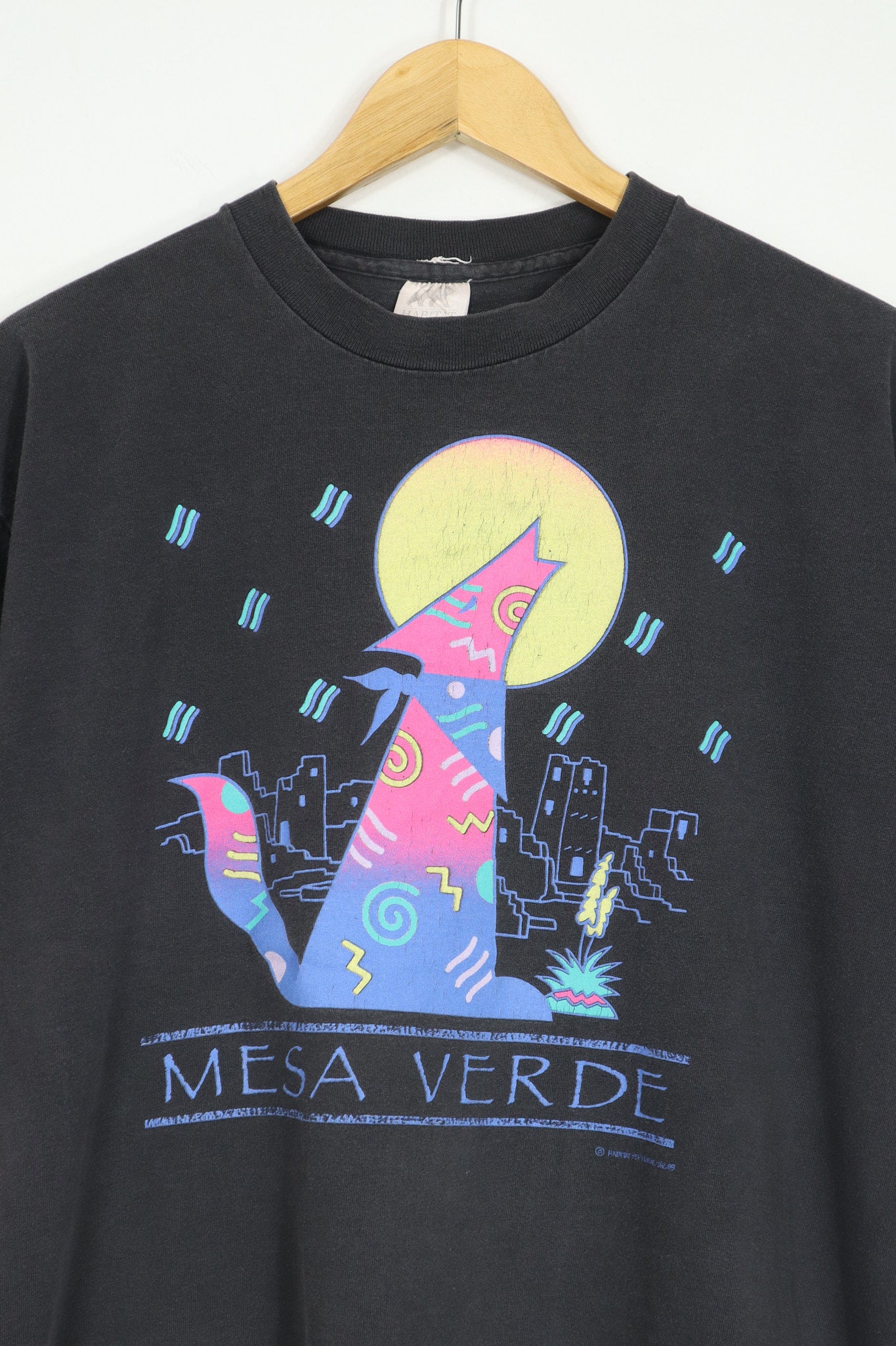 Vintage Mesa Verde Tee