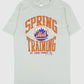 Vintage New York Mets Spring Training Tee Image 0